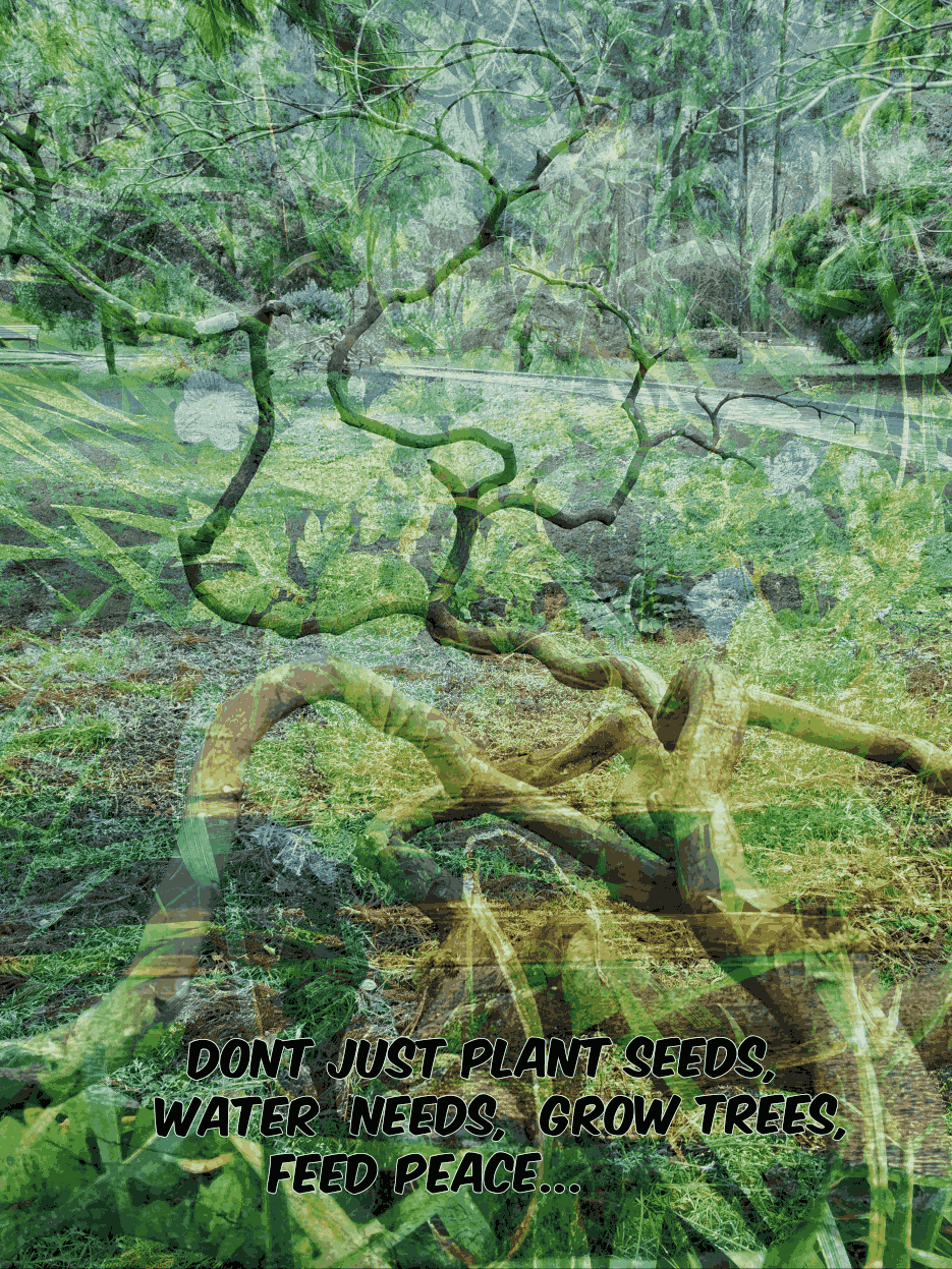 Dont just plant seeds, water needs, grow trees, feed peace...