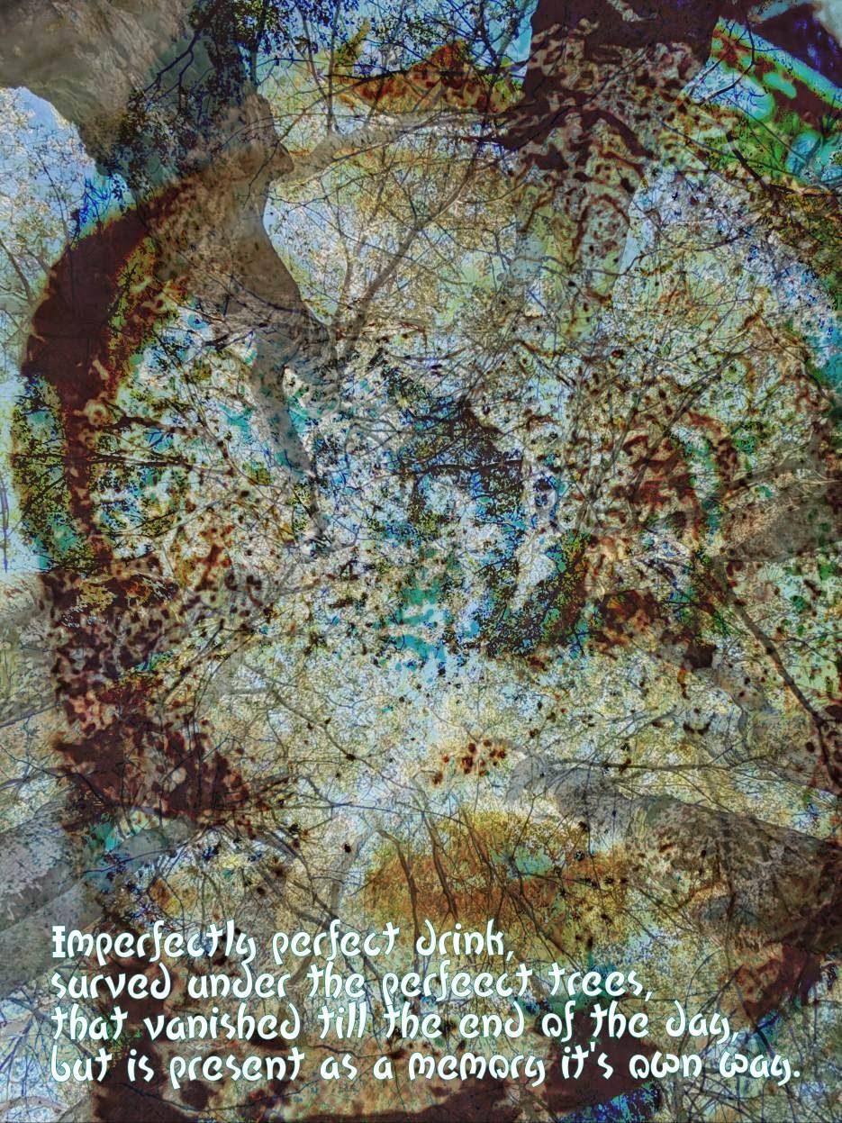Imperfectly perfect drink, surved under the perfeect trees, that vanished till the end of the day, but is present as a memory it's own way.