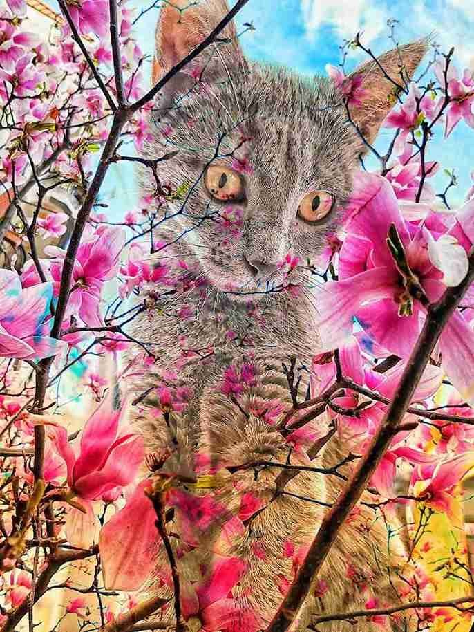 Whats the purpose of art if I can't eat it?