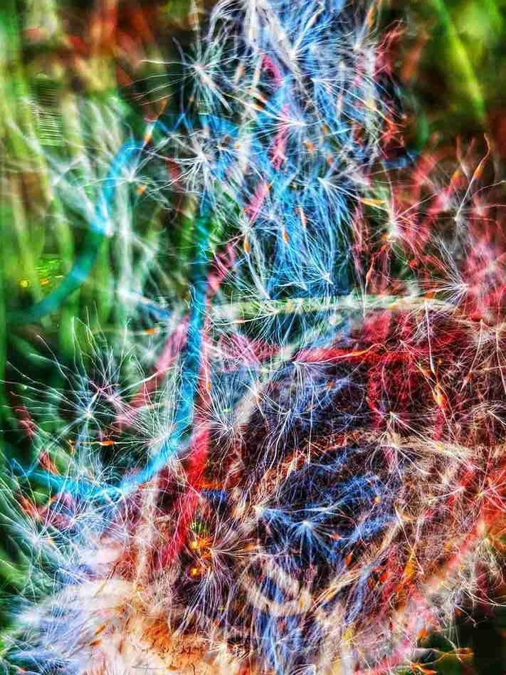 Maybe a different Perspective...