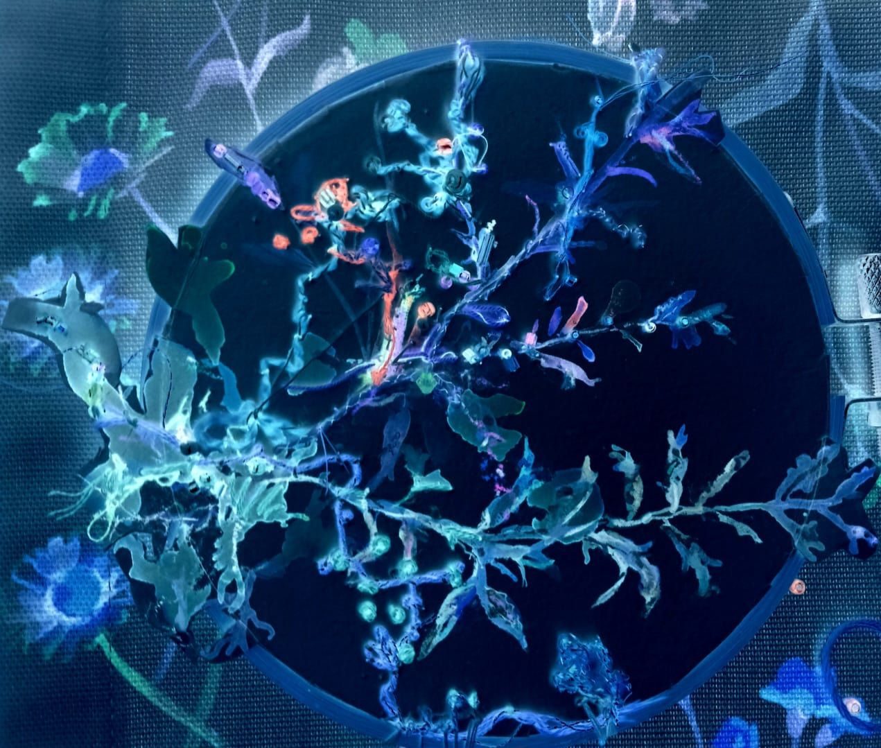 Reversed photograph of a round watercolour painting, embroidered,  framed in hoop