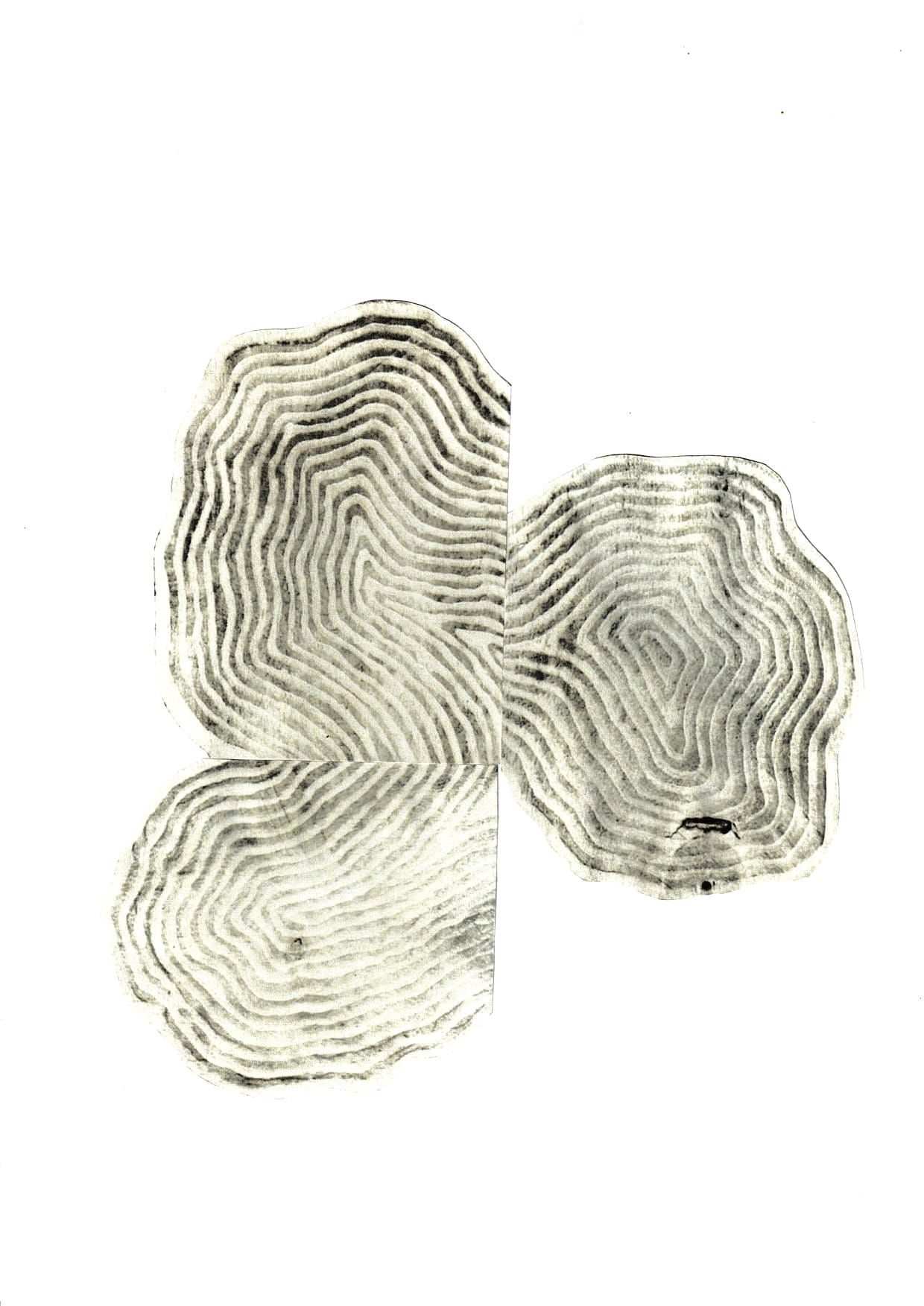 Carved pallet wood, digitally scanned