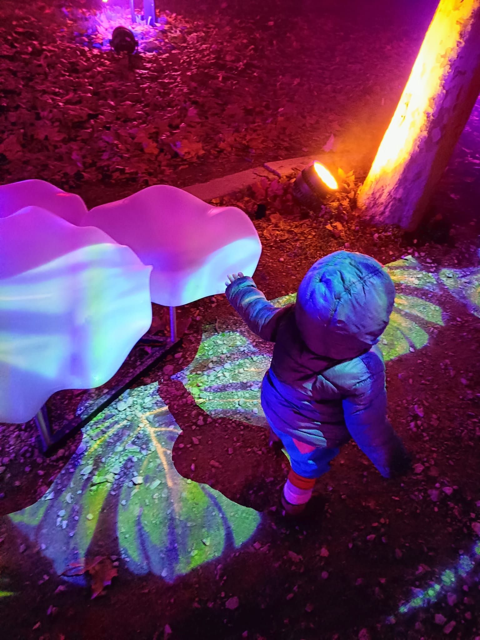 Photo of a small child walking back to camera illuminated by multi coloured lights in pink green and purple