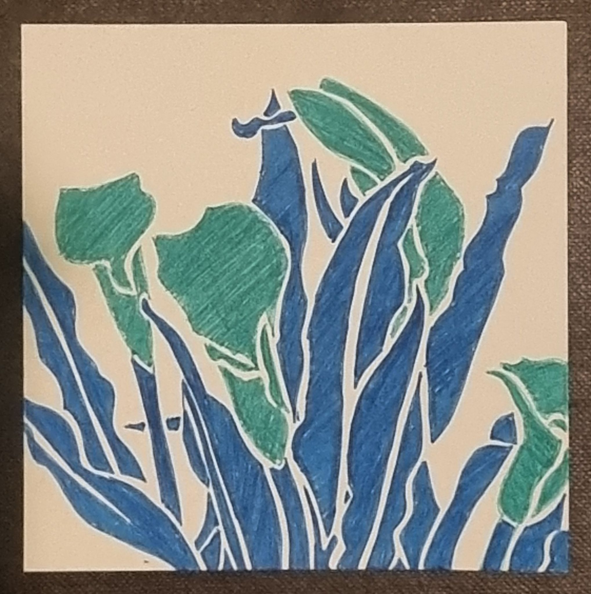Abstracted graphic ink drawing of aqua calla lily flowers and blue leaves on white background.