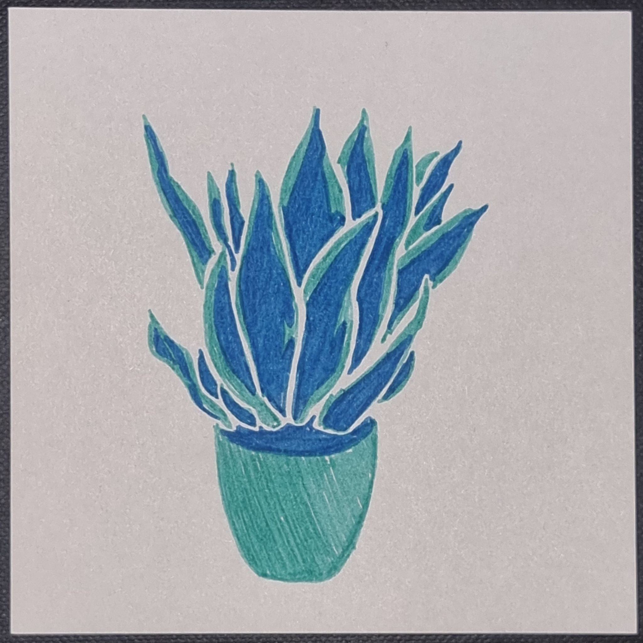 High contrast ink drawing of snake plant in pot, in aqua and blue on white background.