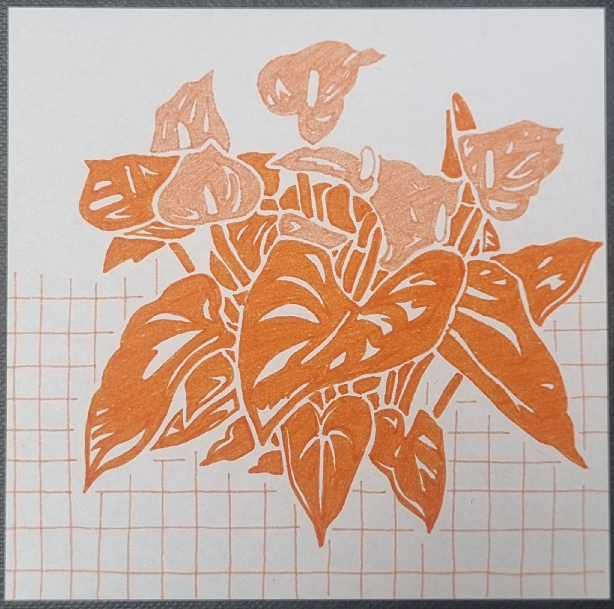 High-contrast abstracted ink drawing of anthurium plant with orange leaves and peach flowers, on white square background with partial peach freehand grid pattern.