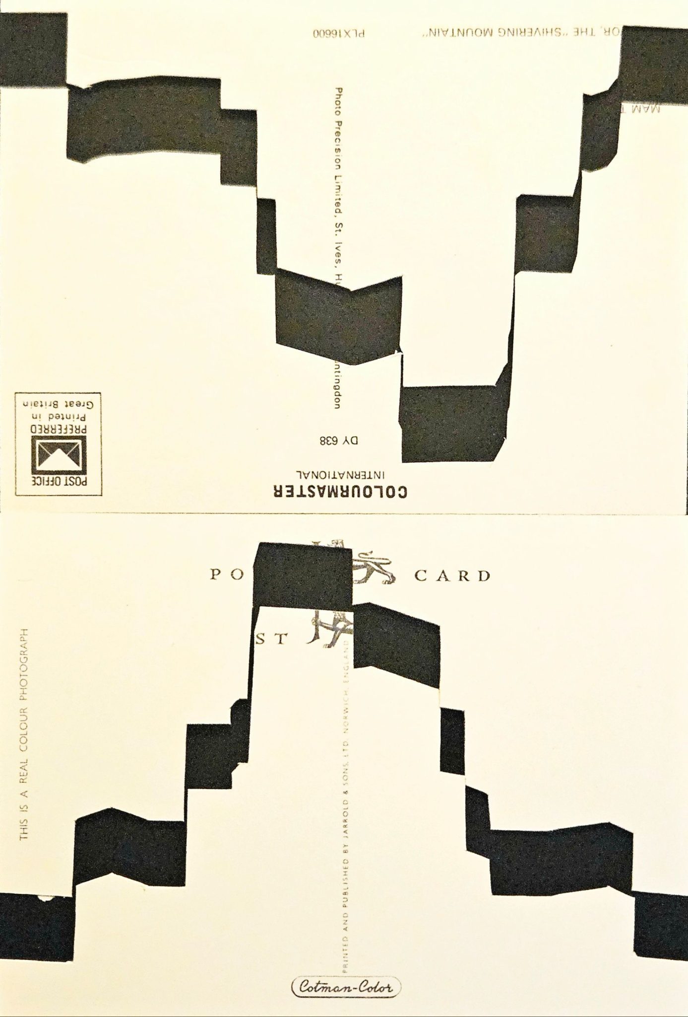 Papercut and collage