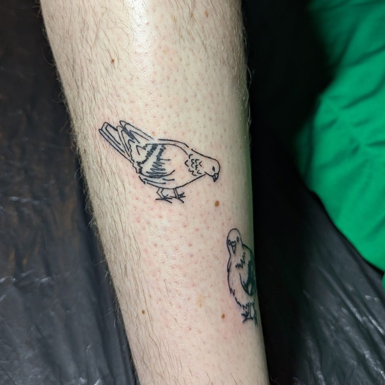 Tattoo of a pigeon eating a seed, but the seed is a freckle