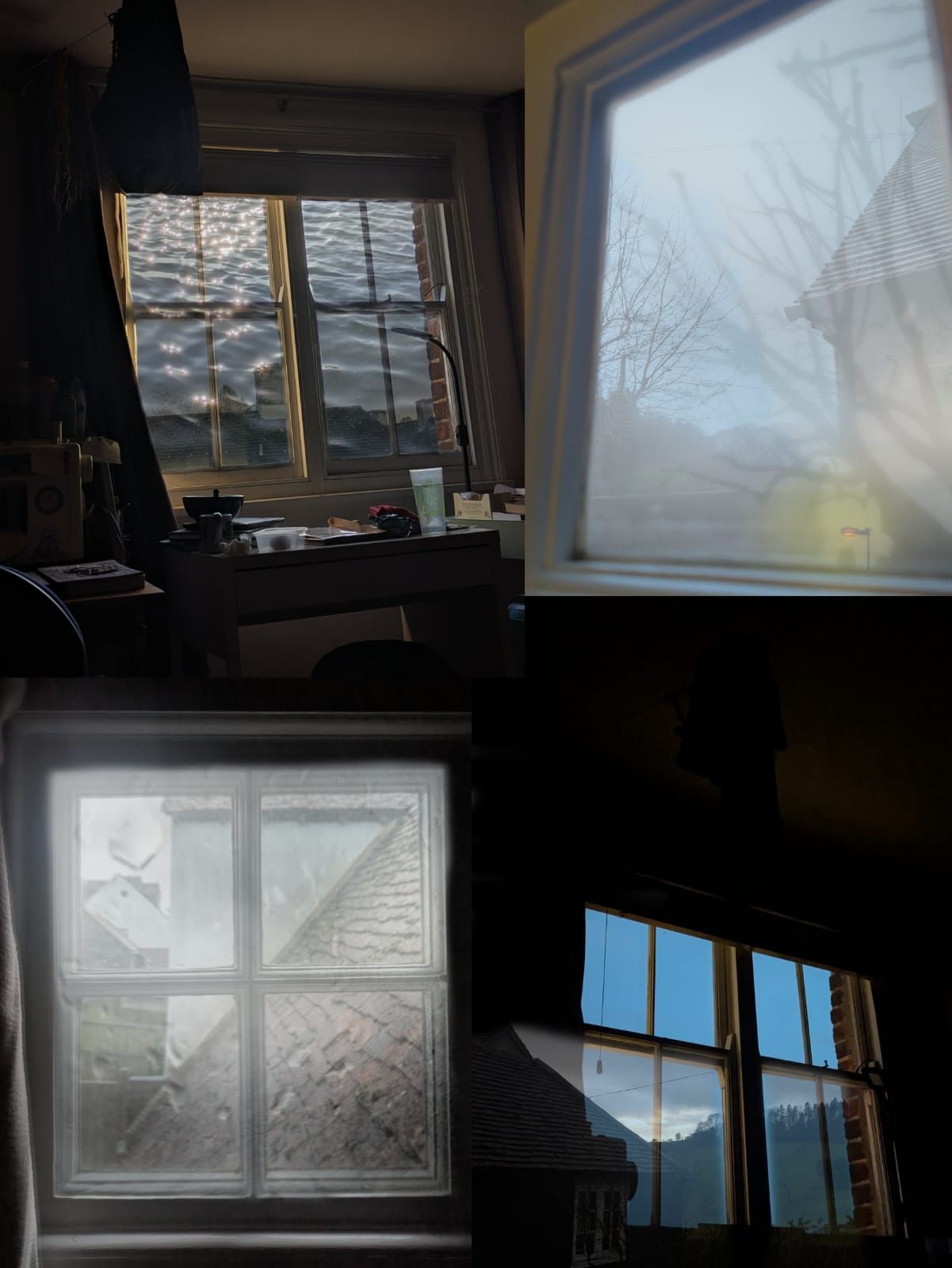 Digital collage of photos of windows and water