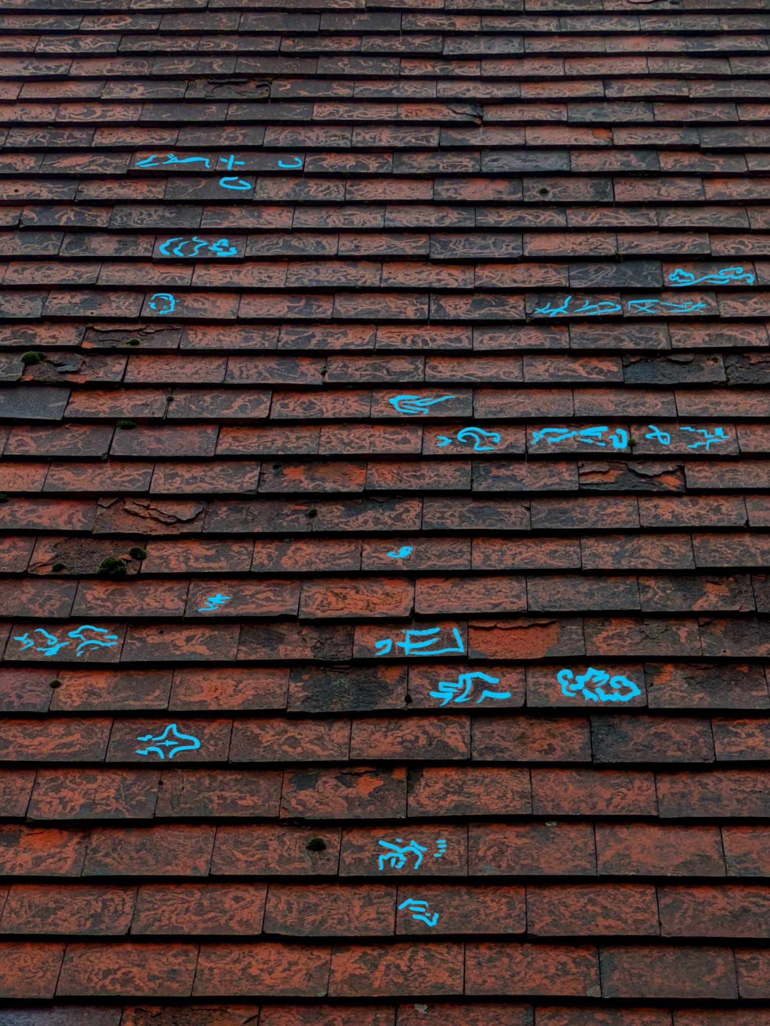 Photo of a roof with a pattern some of which is highlighted