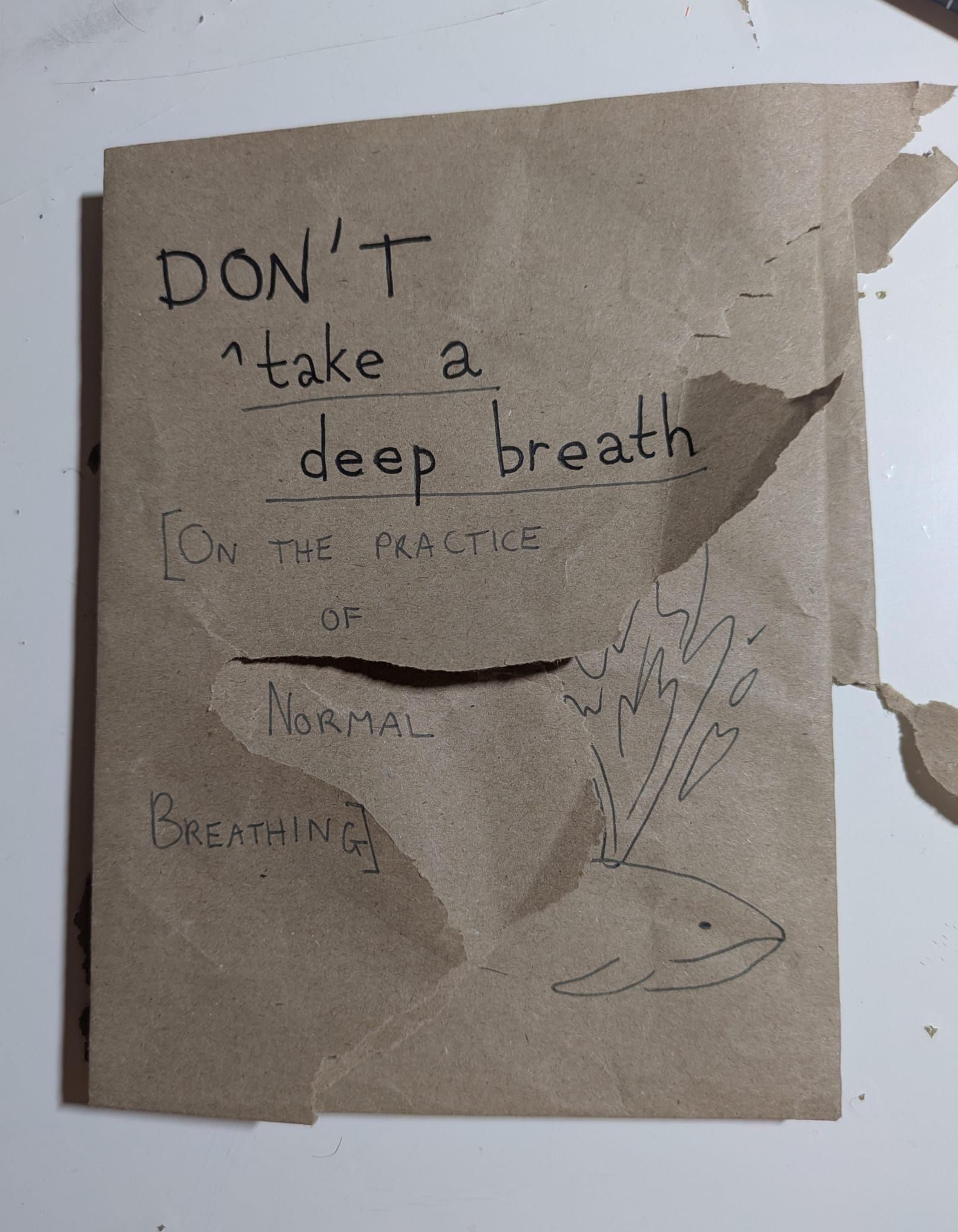 Photo of zine cover about breathing