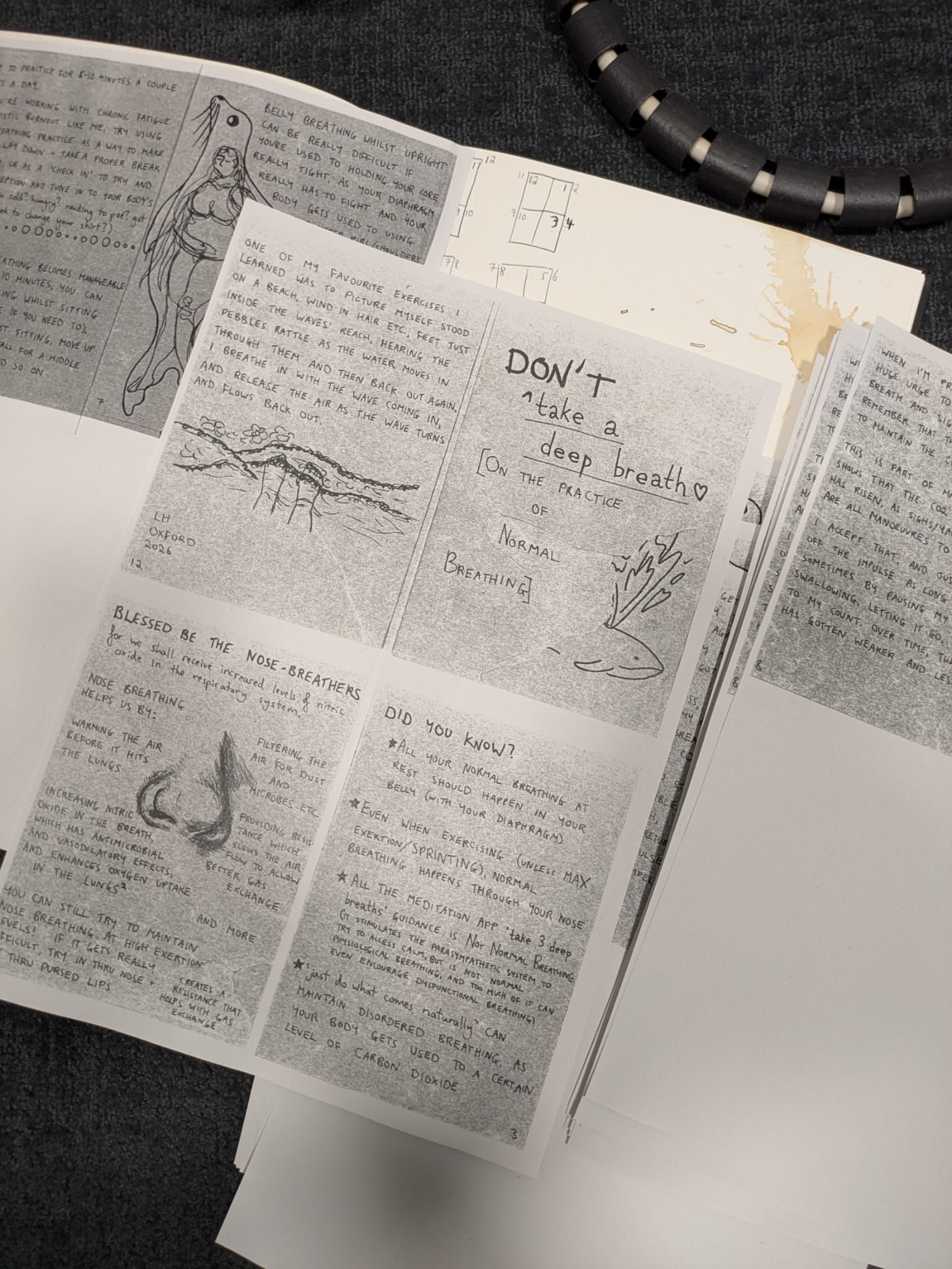 Photo of several photocopied zine pages