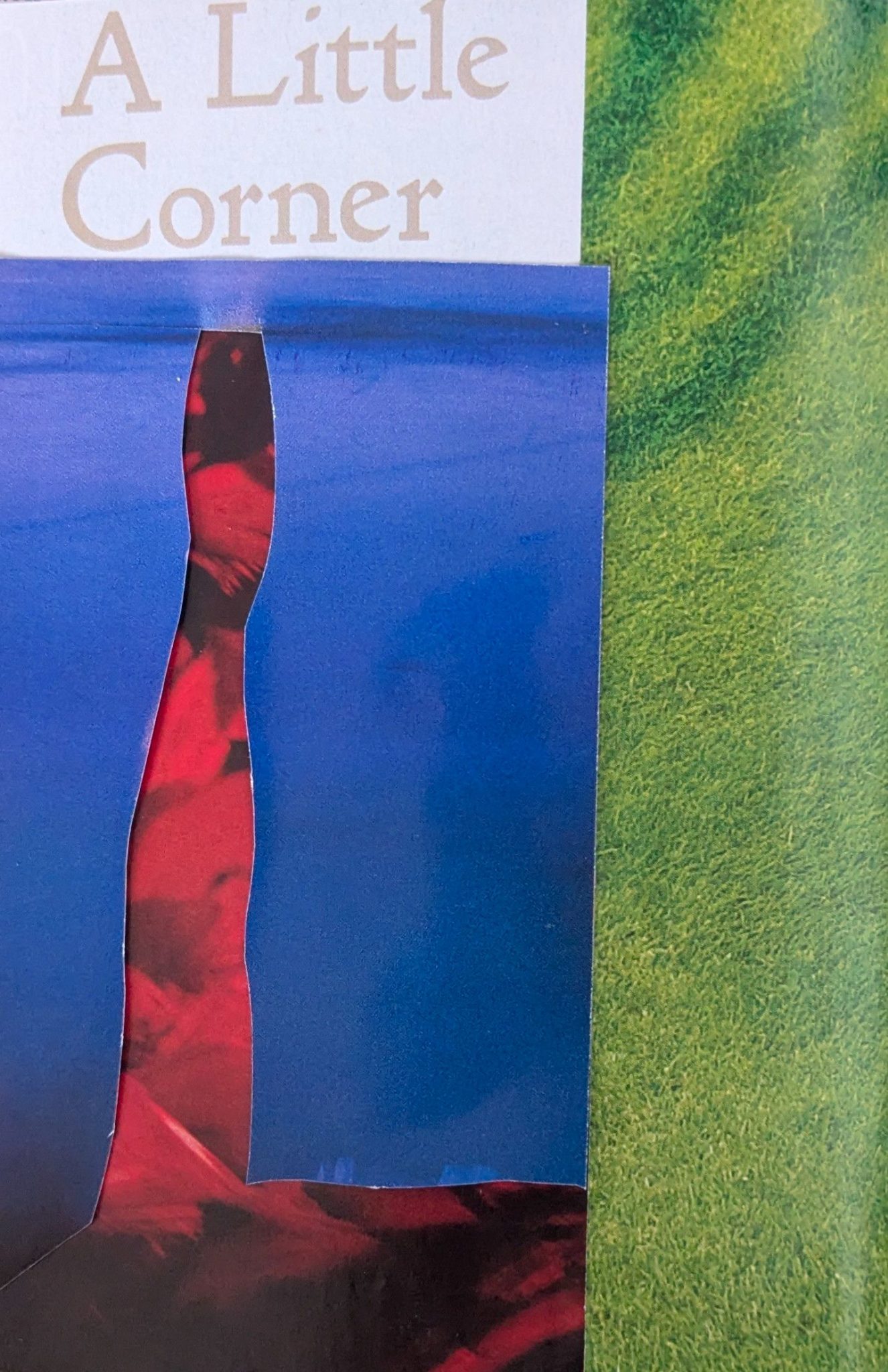 In the top left hand corner it says a little corner underneath is an abstract collage with green grass, red feathers and blue