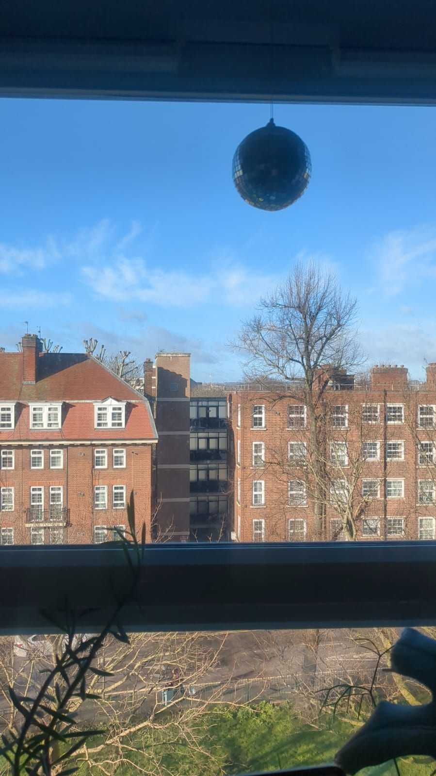 A photo of two buildings taken from a five-story window with plants around the edges