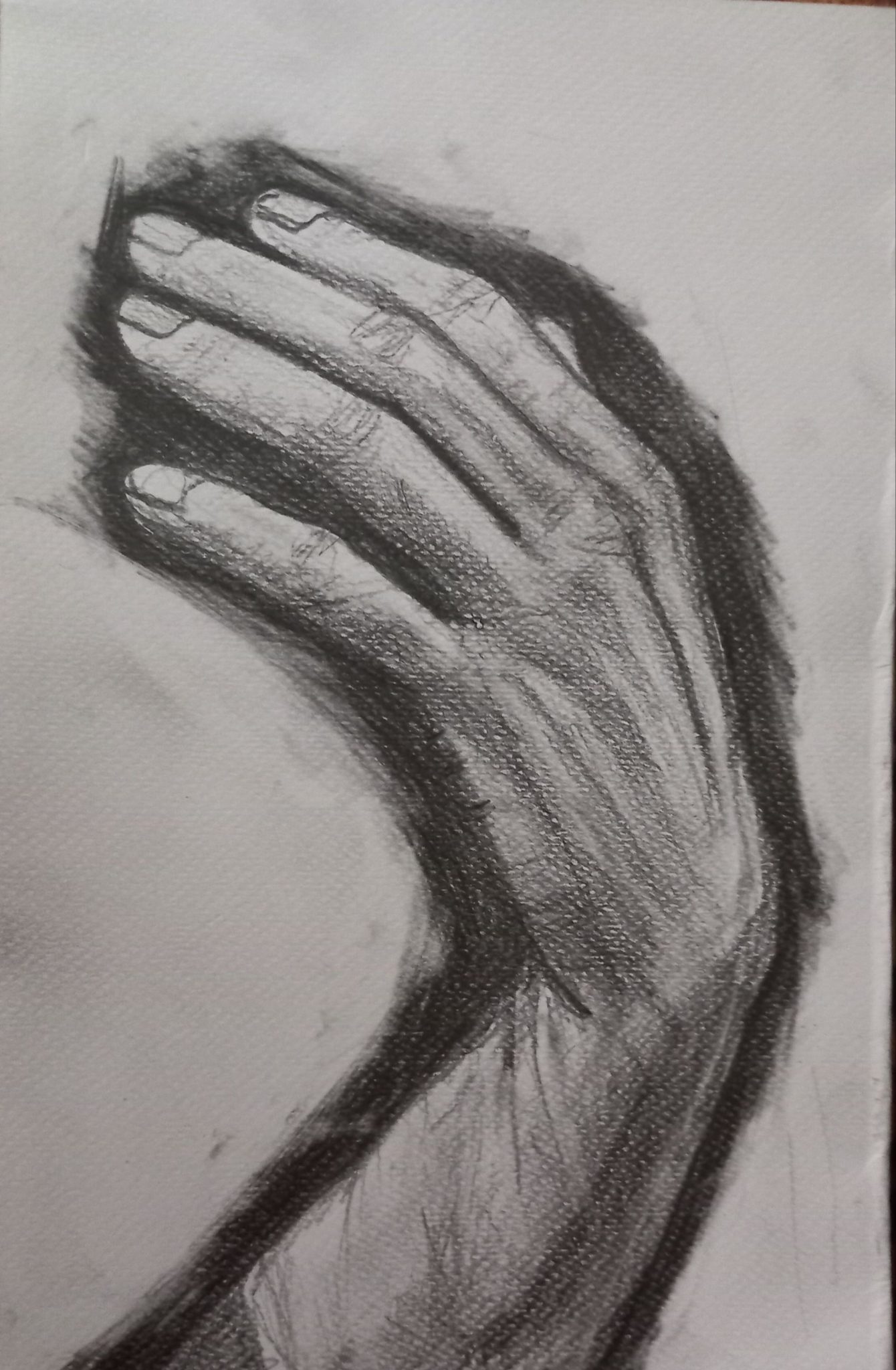 pencil drawing of a female hand, shaded, lifting