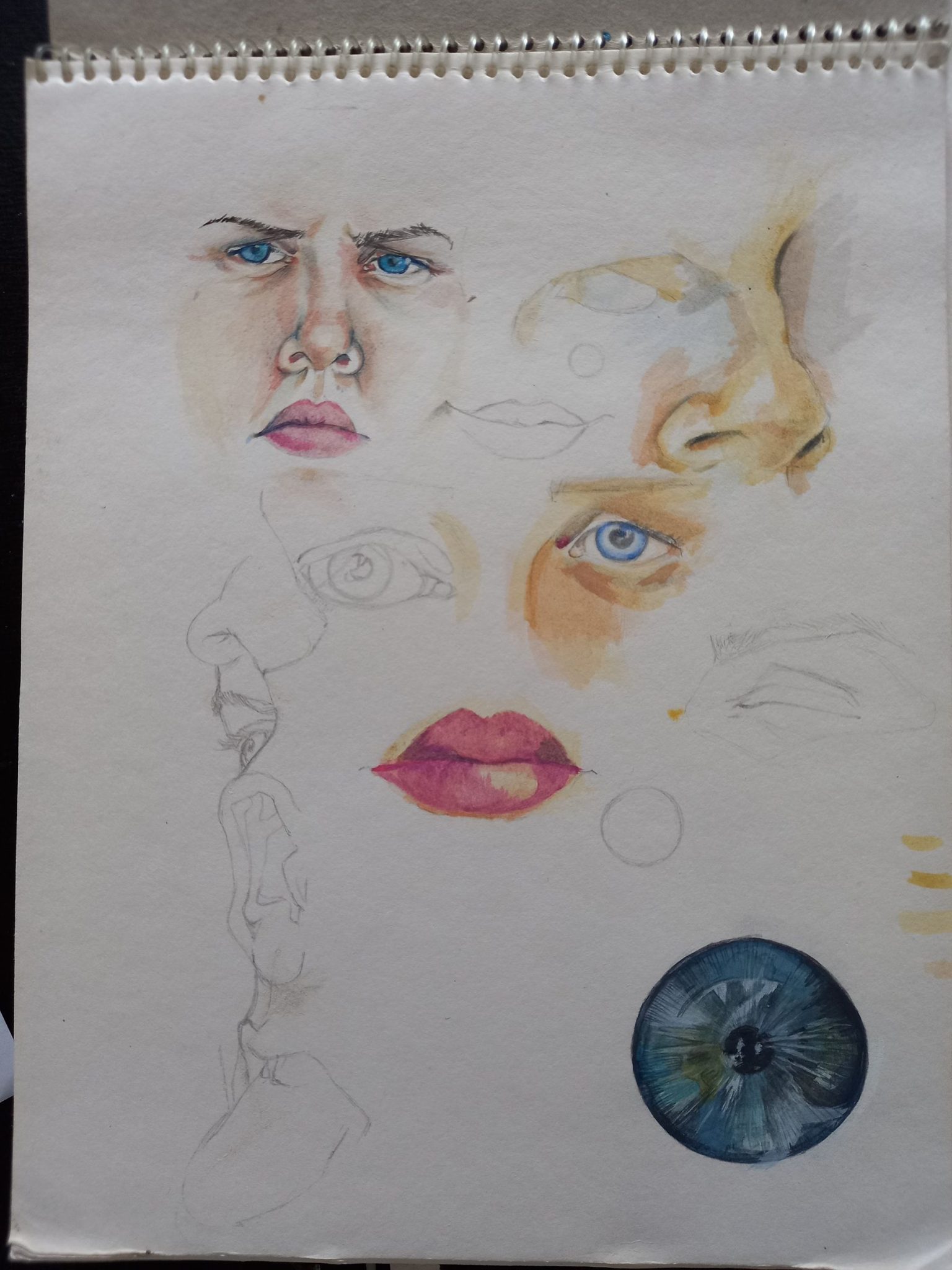 Watercolour sketches self portrait, in parts (nose, ears, multiple eyes)