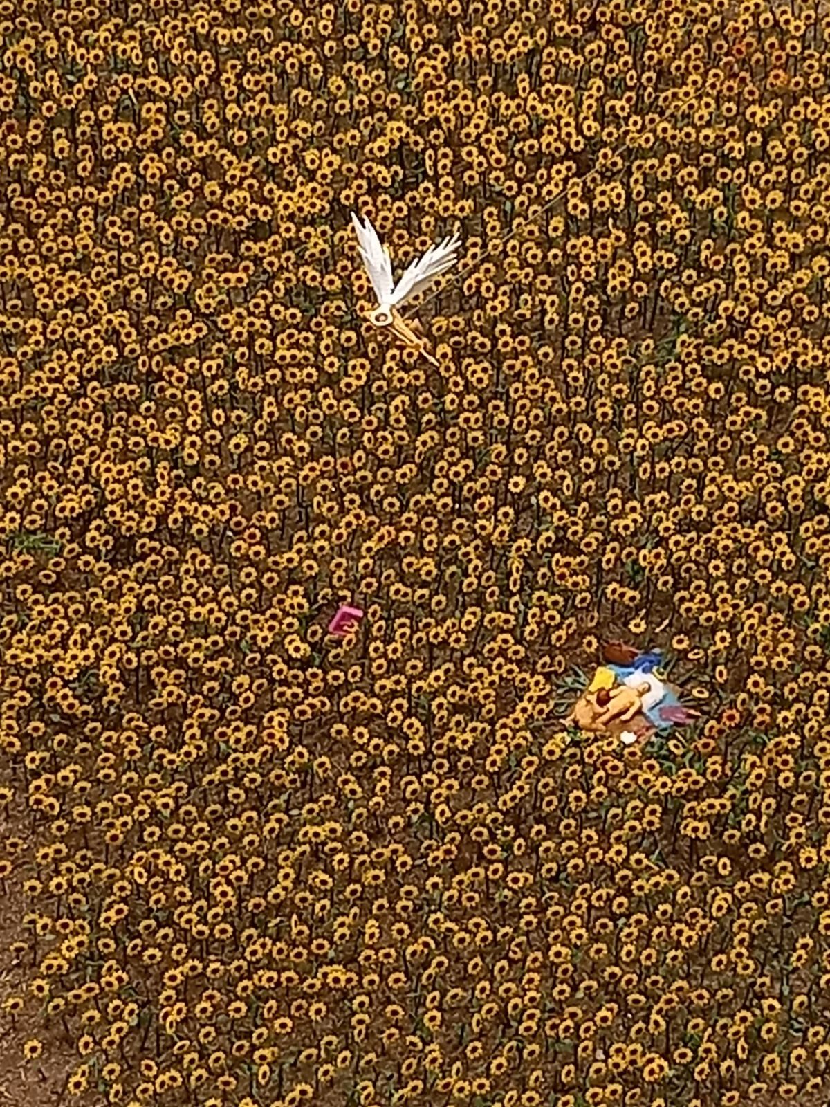 Photo of small naked model figures in a field of sunflowers