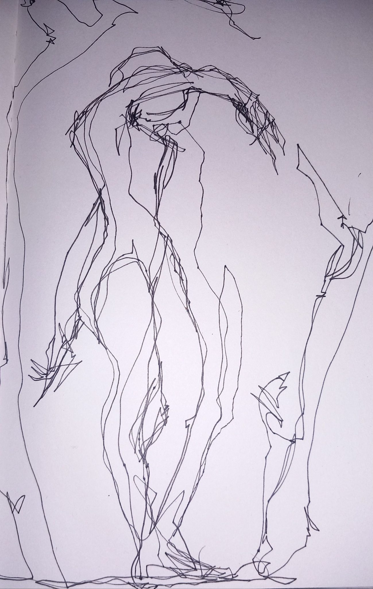 fine pen drawing,  a continuous line depicting a woman and  trees