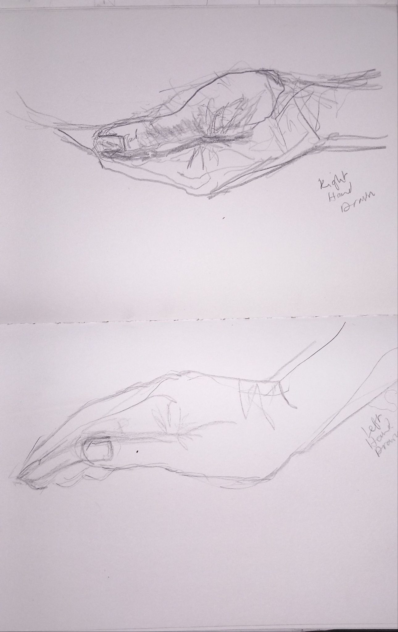 pencil drawing of side view of hands, 2 sketches left and right side view