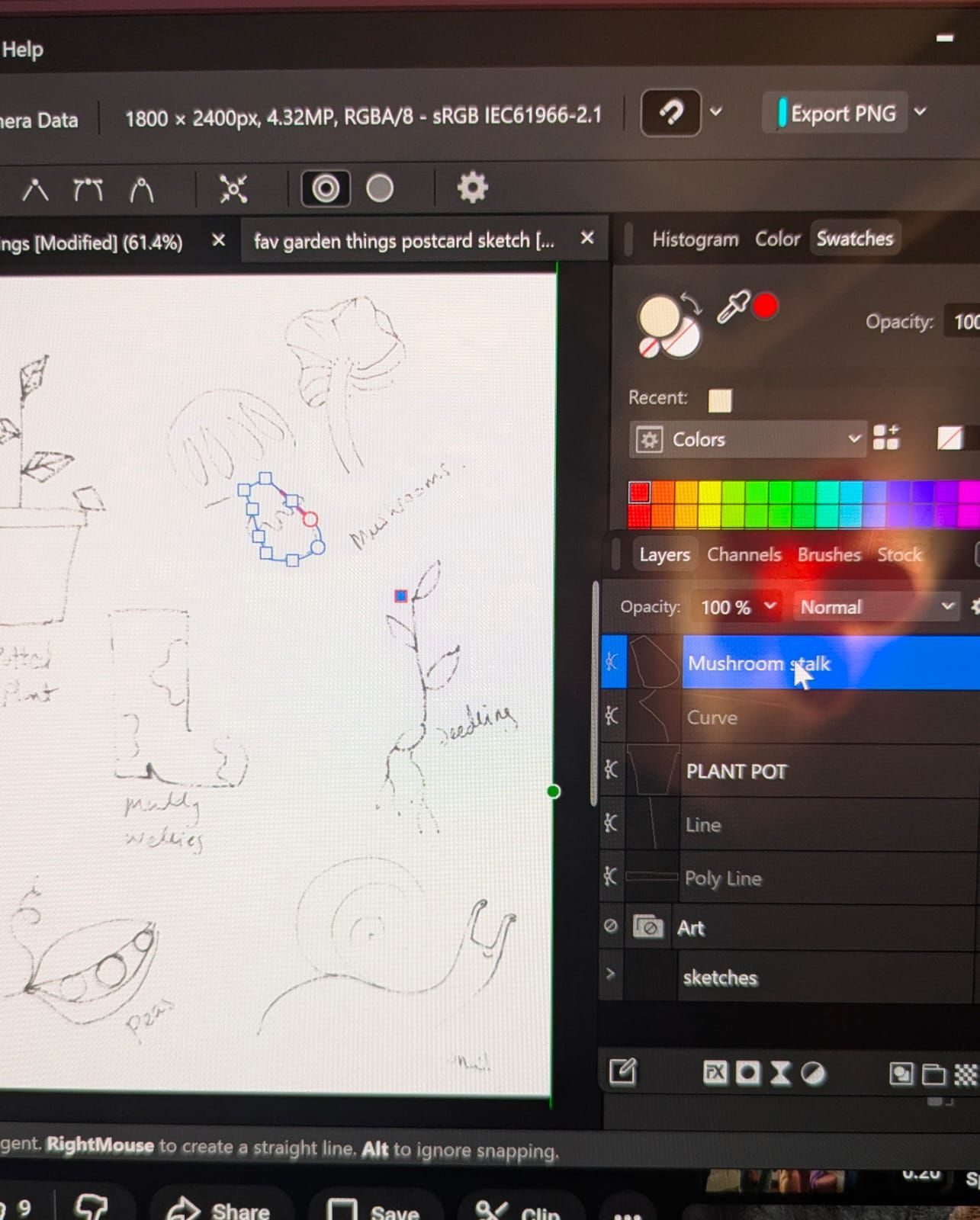 A computer screen with black and white pen drawings on screen in some kind of drawing program (this one is affinity) you can see a flower light reflected in the screen and the drawings are of nature things like a small seedling and mushrooms