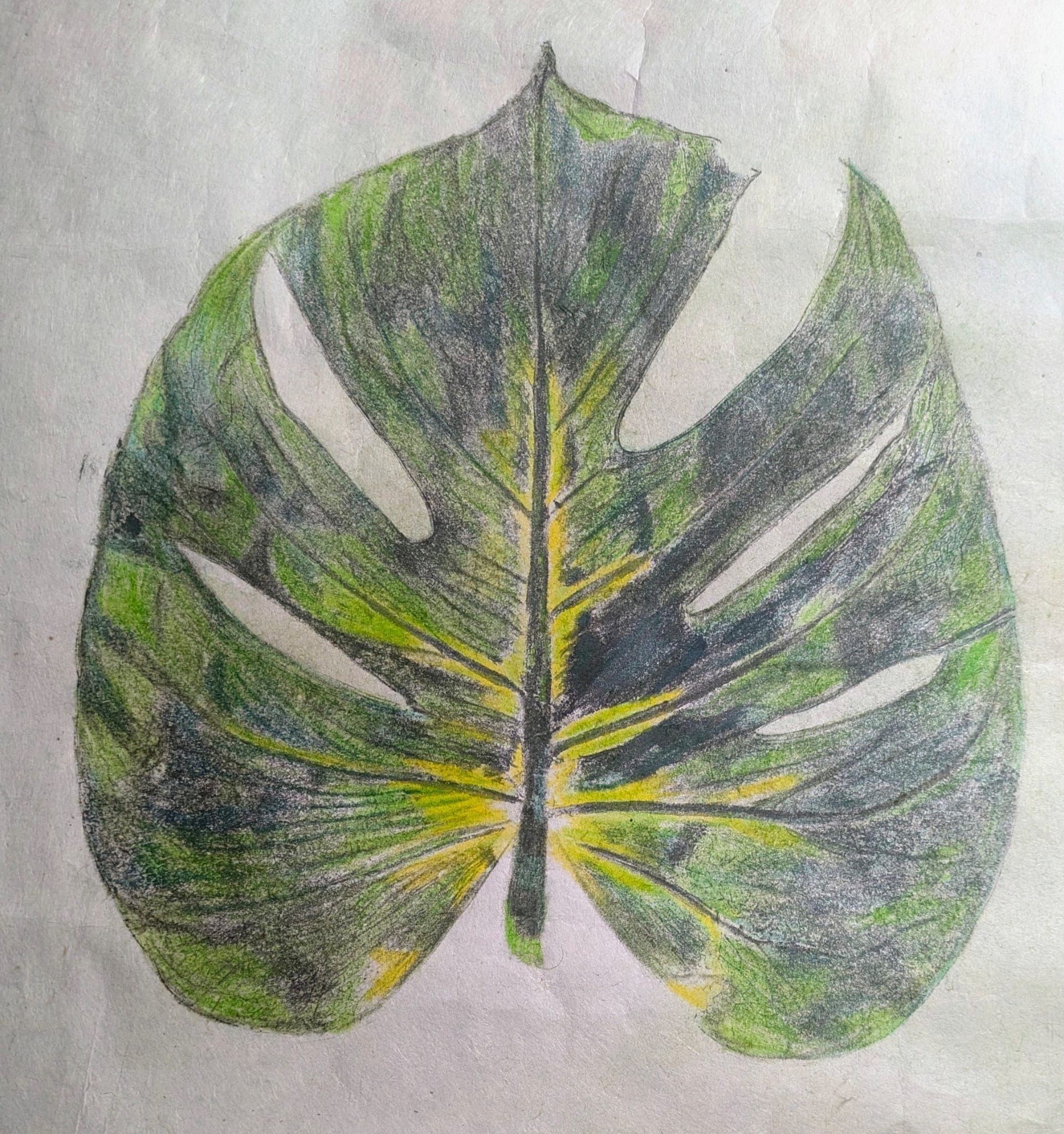 A monstera leaf print coloured in different shades of green and yellow