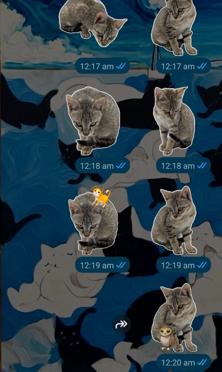 A background made if cat figures and a series of WhatsApp stickers in shape of a cat