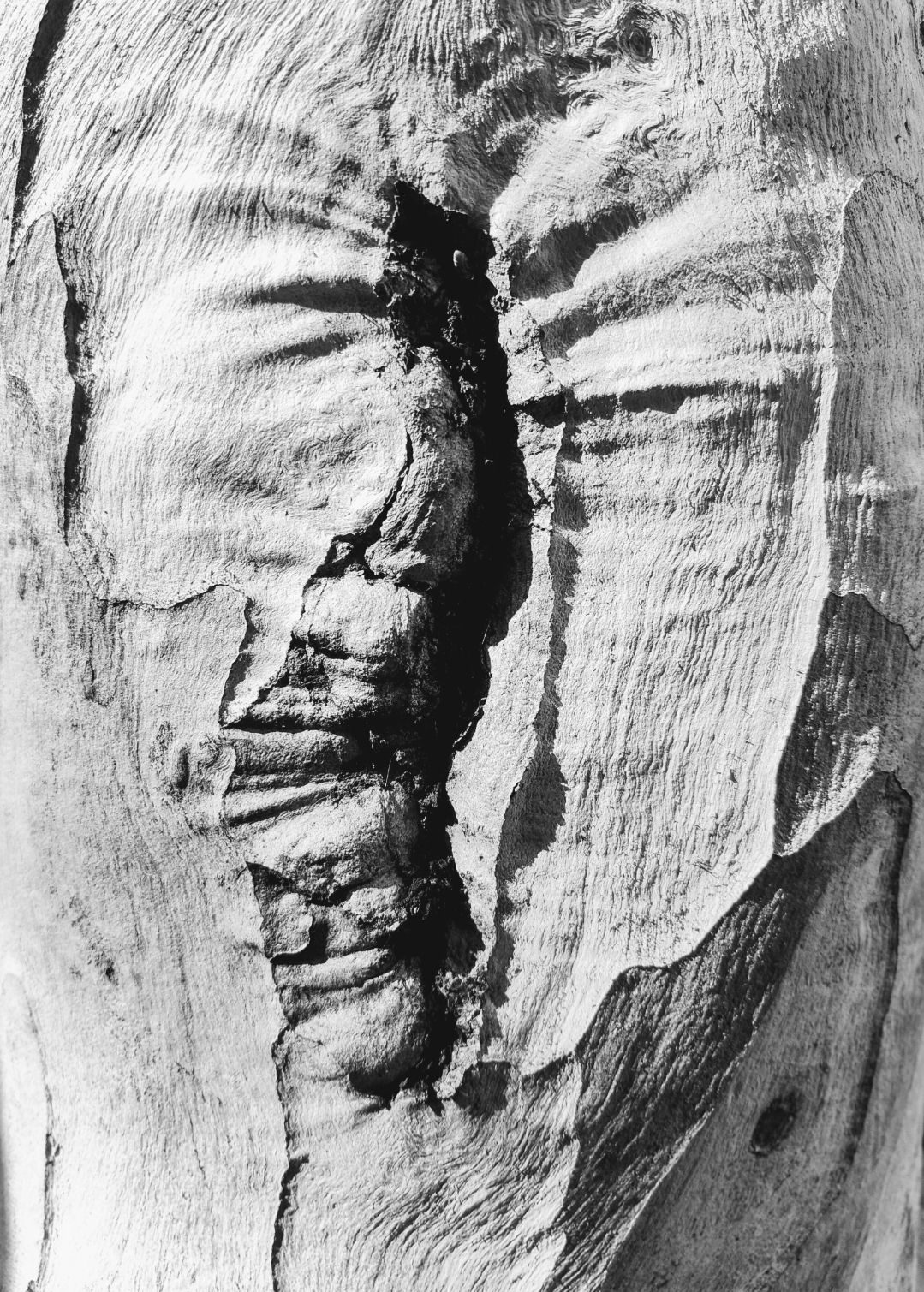 Black and white photography