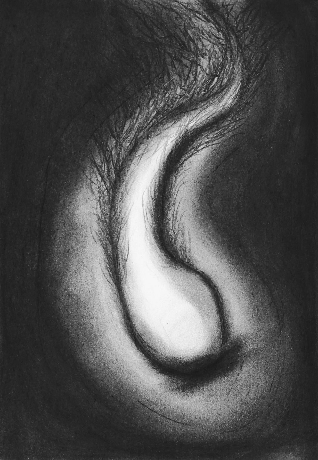 Charcoal drawing on paper.