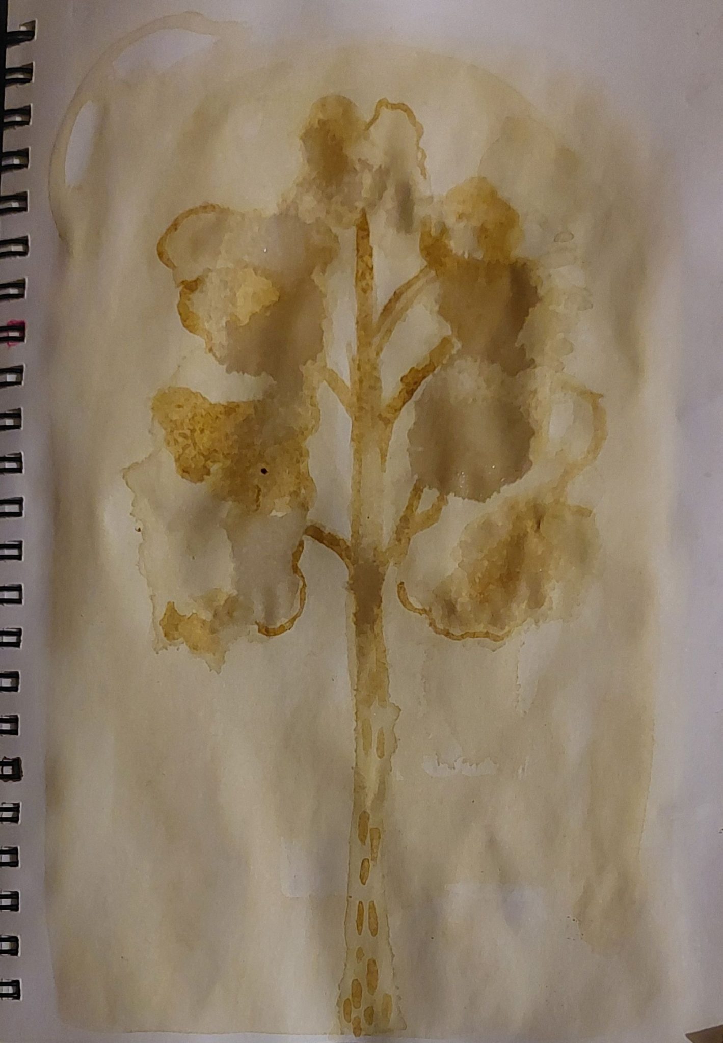 Tree coffee painting