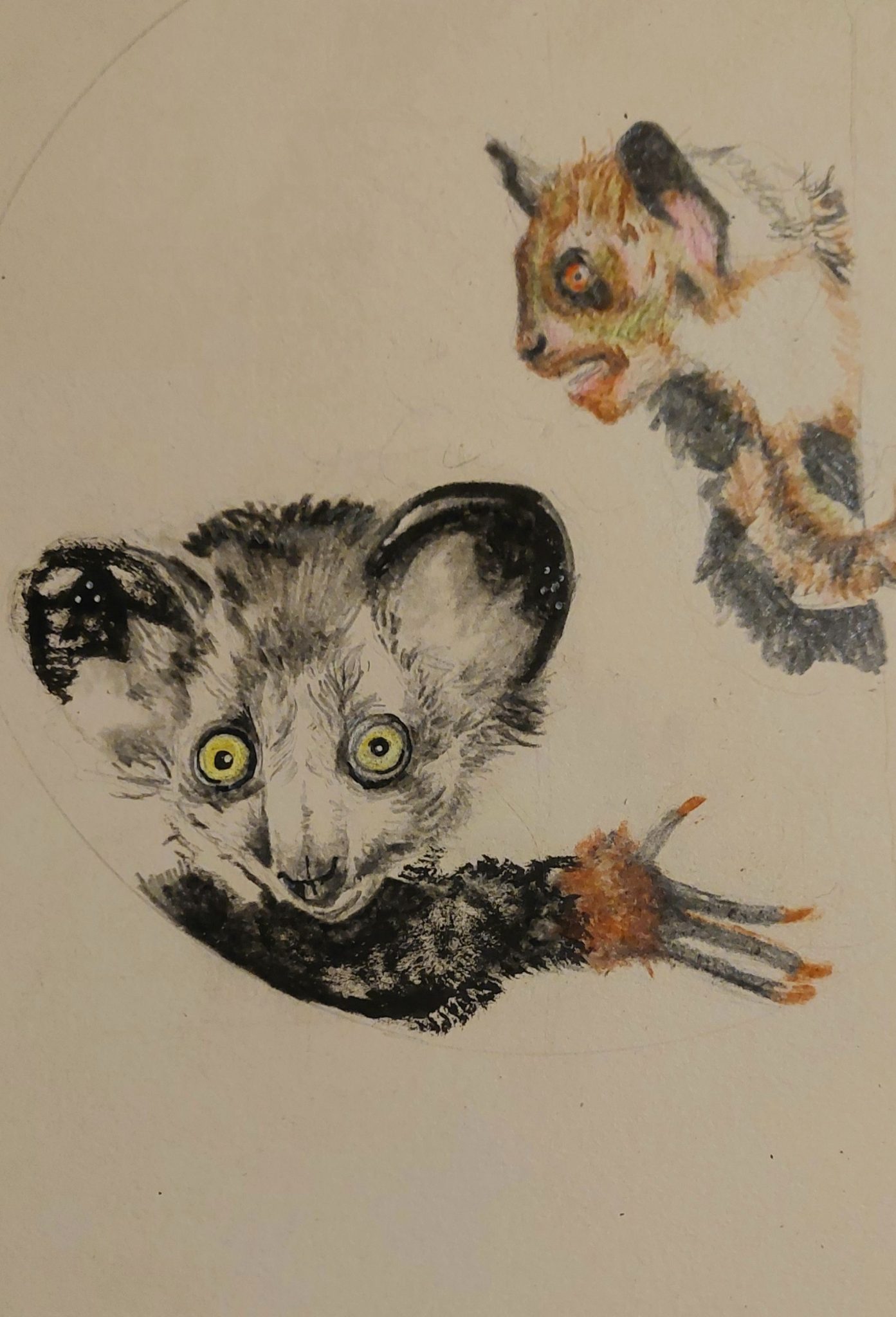 Mixed media aye ayes peeking at the viewer