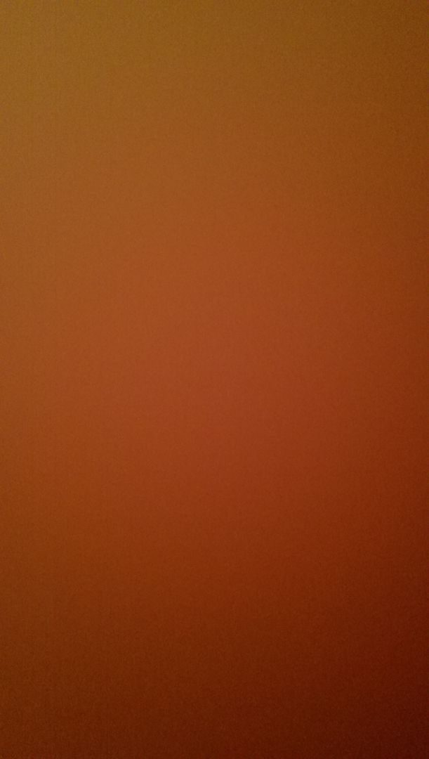 A photograph of something out of focus in shades of orange. It looks like an abstract colour field painting but it is just a blur.