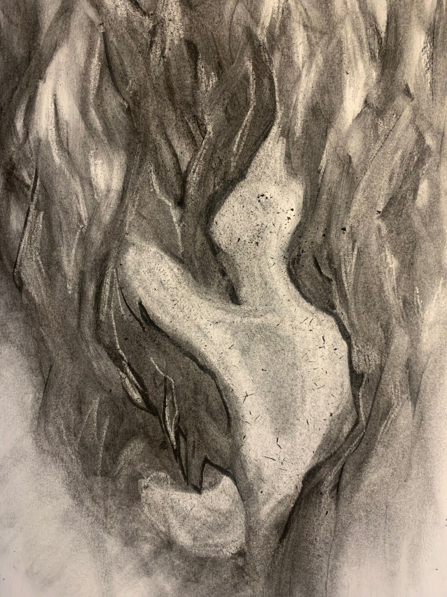 A semi abstracted charcoal drawing of what looks like a hip bone tangled in a mass of black branches or perhaps flames
