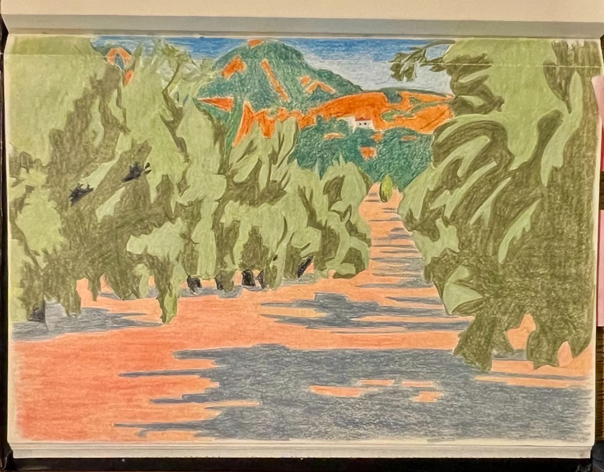 Coloured pencil drawing of olive orchard from page 37 of my sketch book