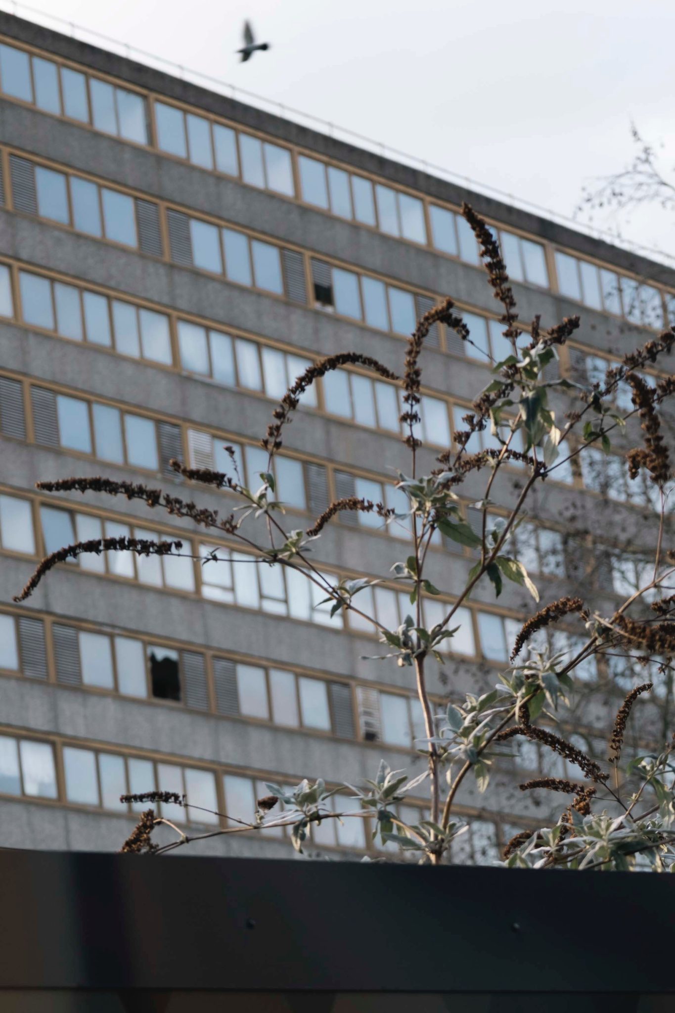 Aylesbury estate on the eve of demolition