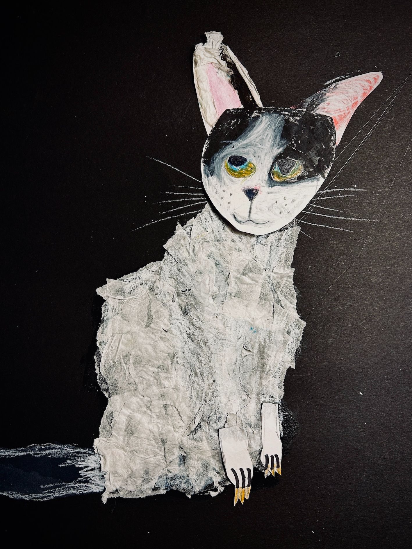 Collage of a white cat on a black background