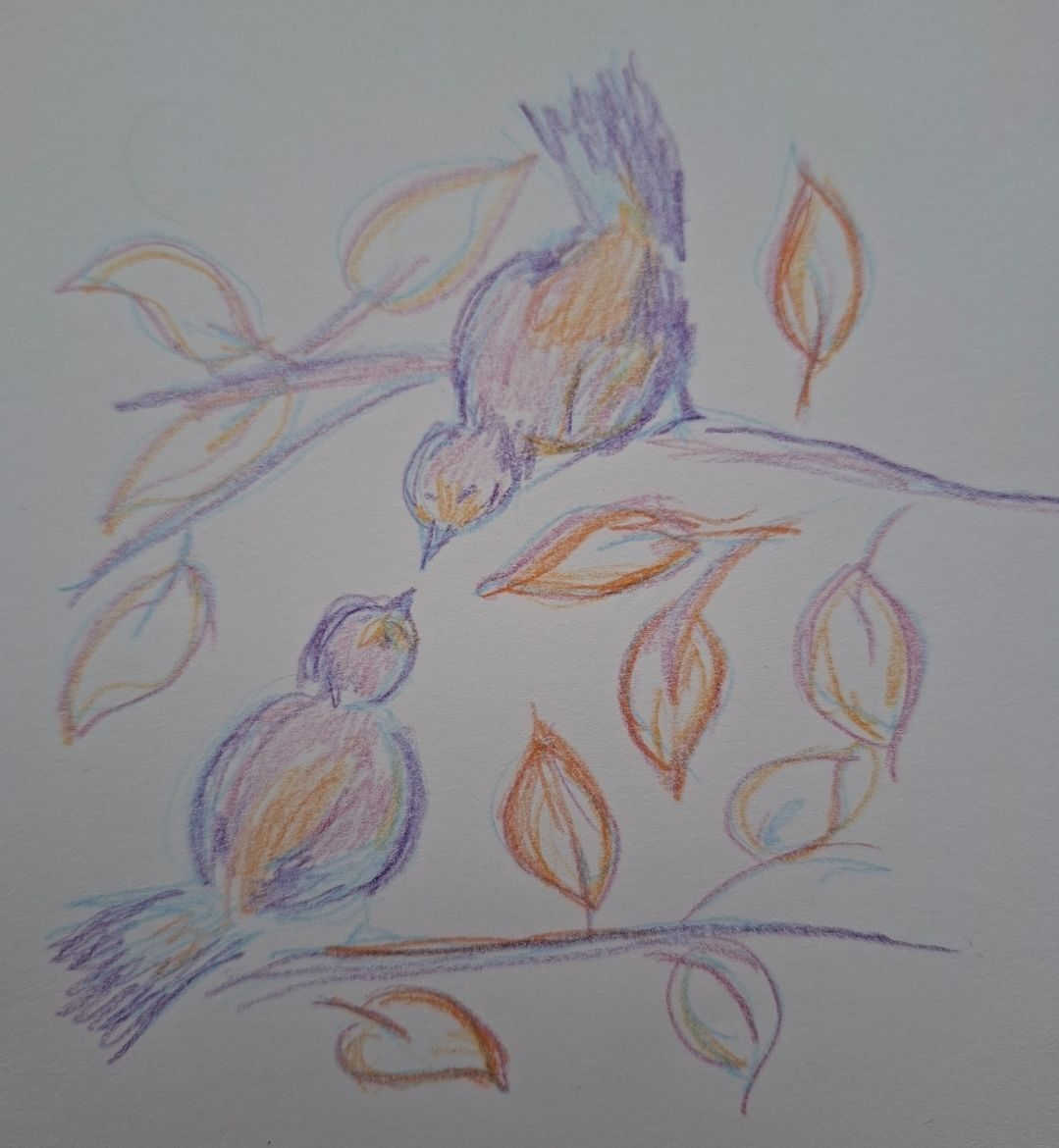 Little schetch of a new story