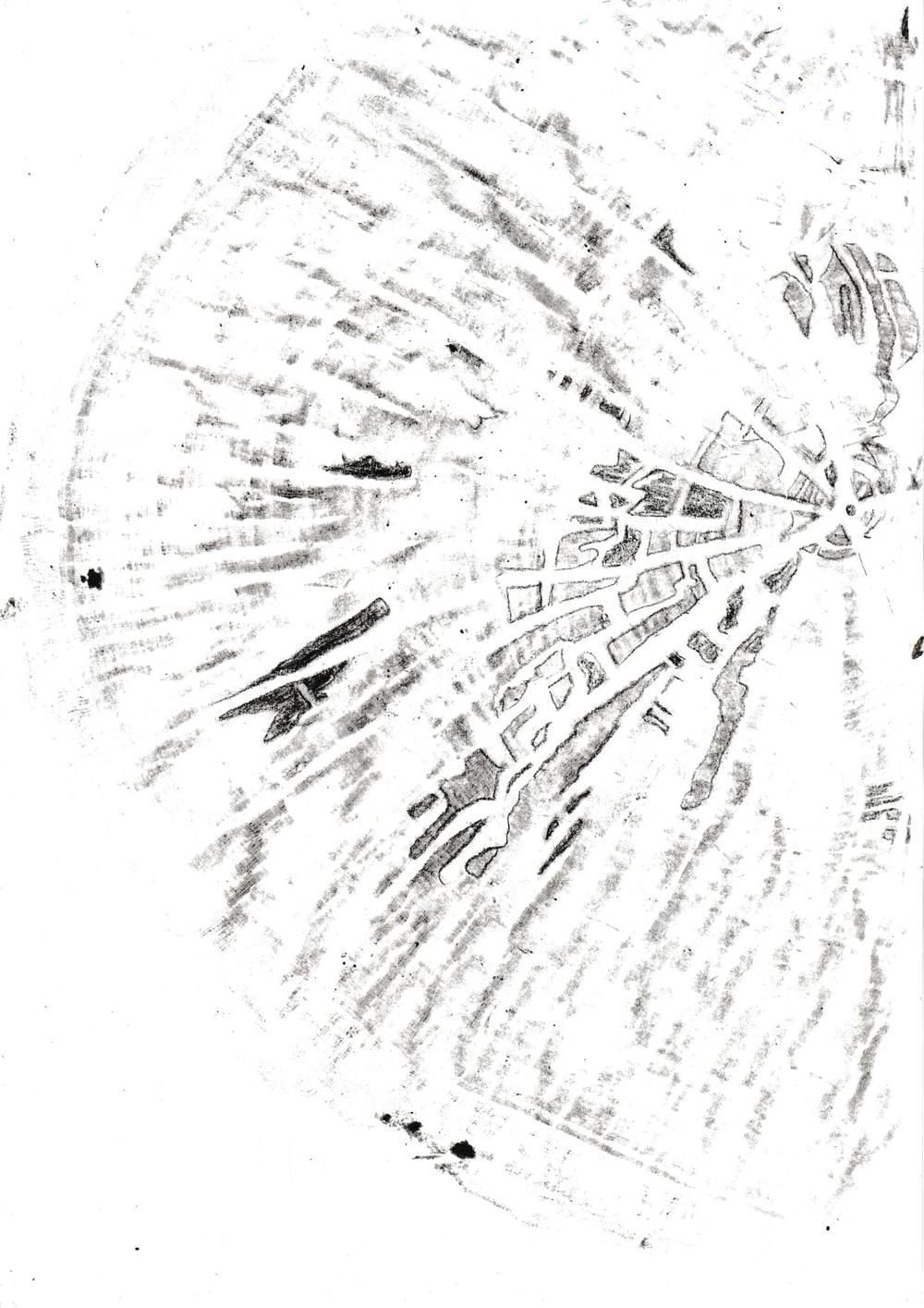 Charcoal tree stump rubbing