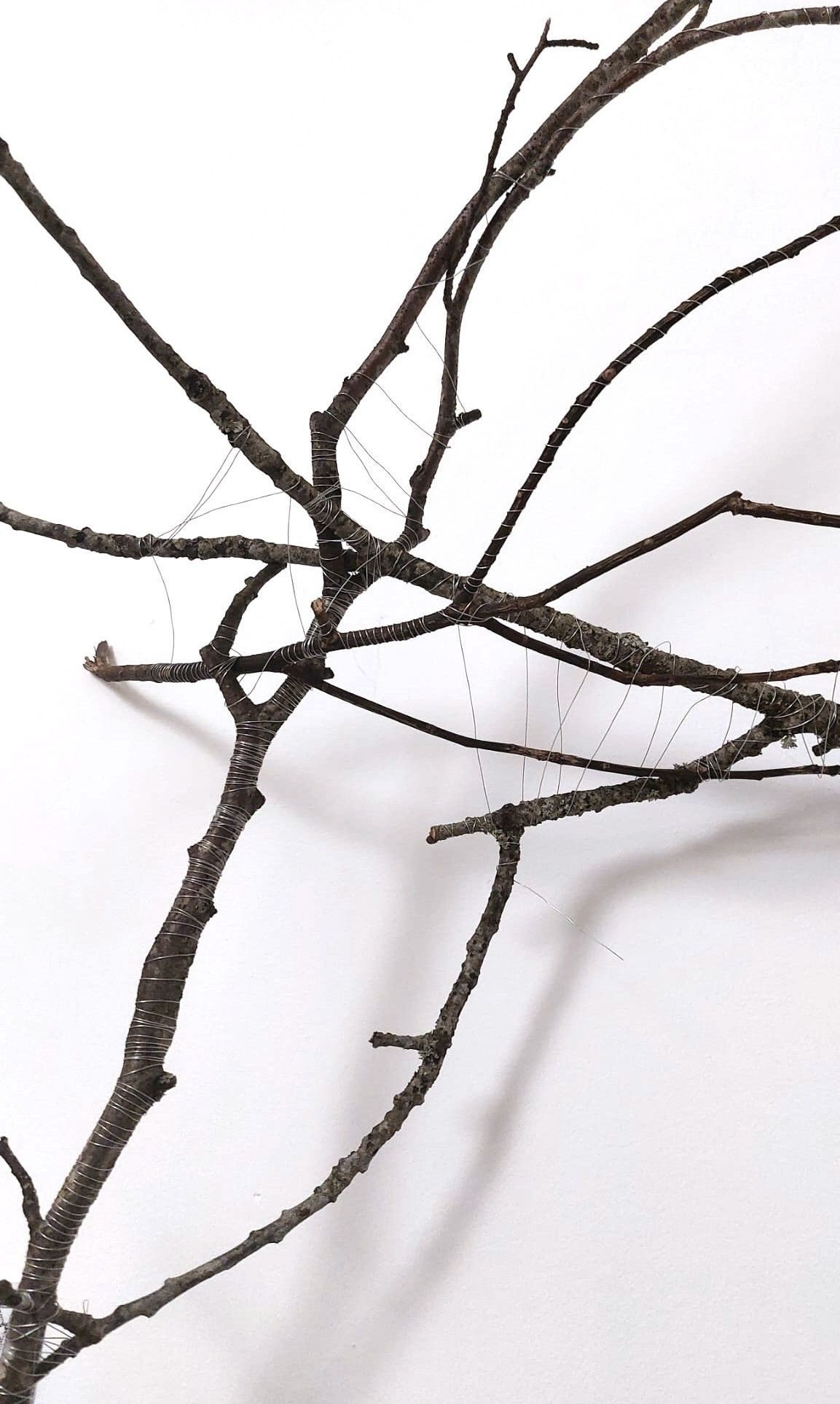 Tree branches bound together in sculptural form with wire. The image is close up so you cannot see where it ends.