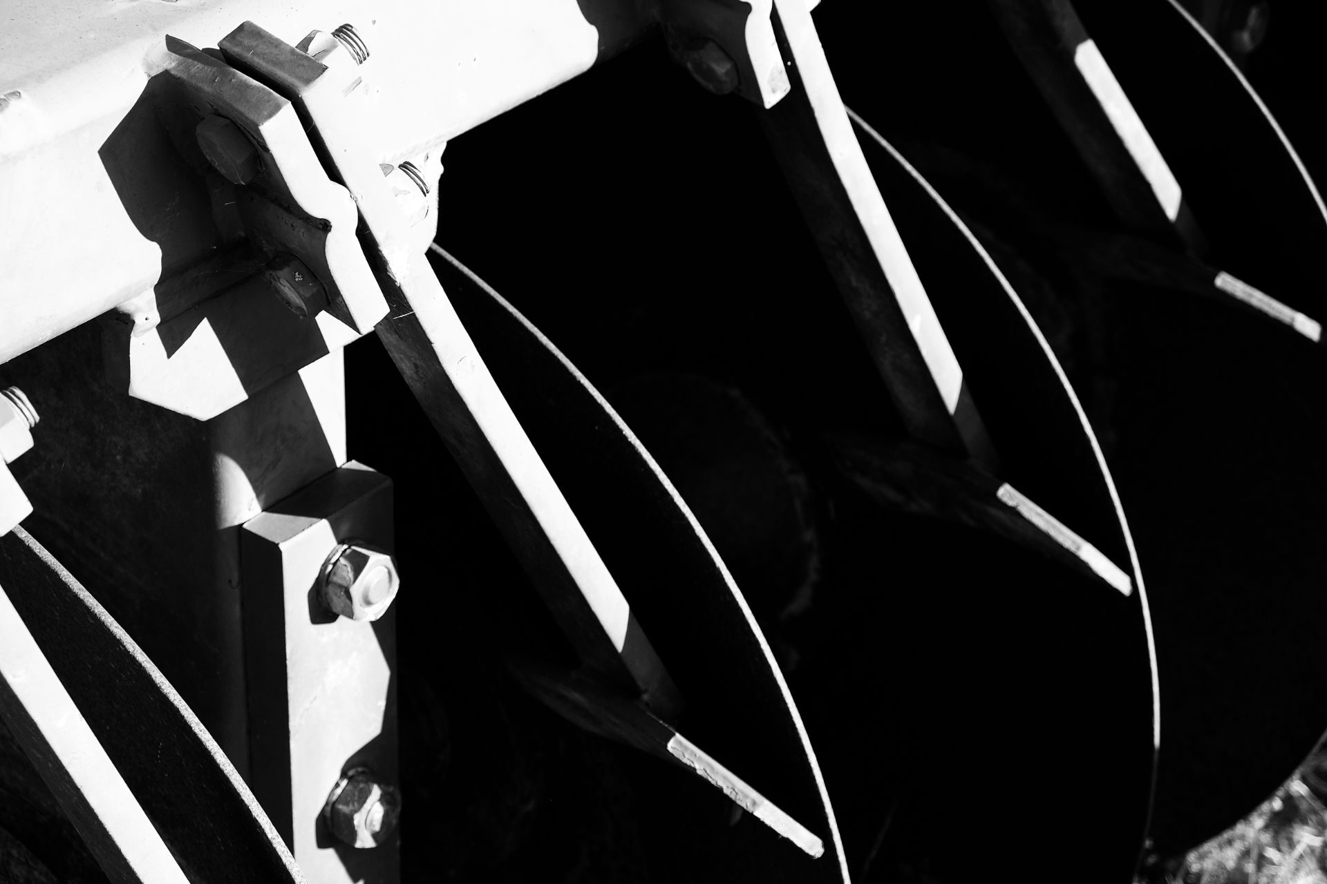 photography based digital image