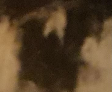 Small section of fairisle jumper