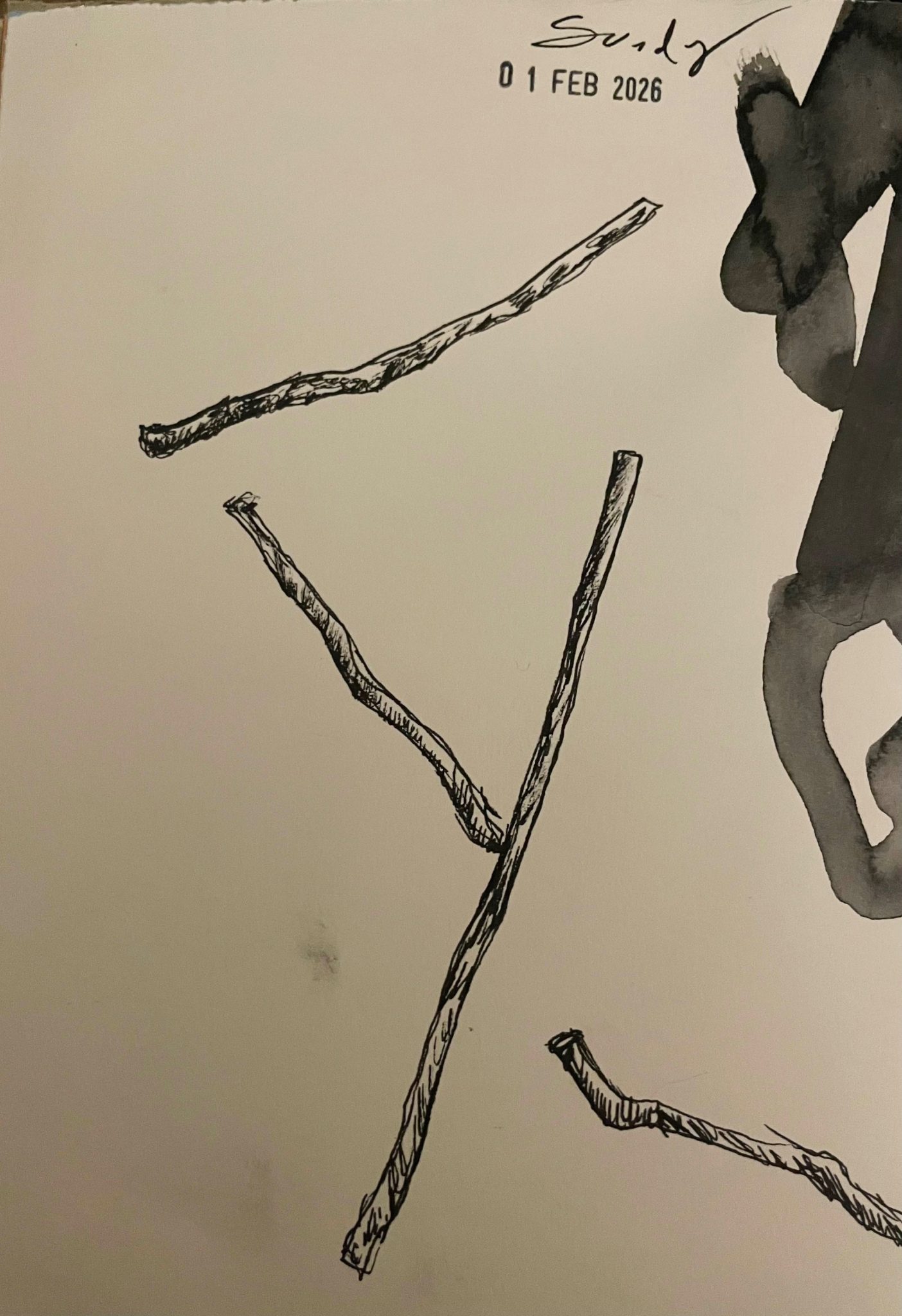 a drawing in pen of an accidental glyph arrangment of sticks on the ground on the 1st of February