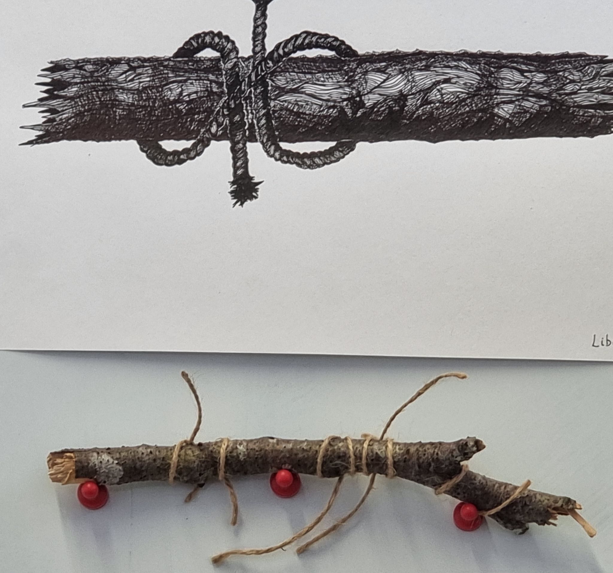 Black ink drawing above a photograph of knots tied with brown string around a small branch