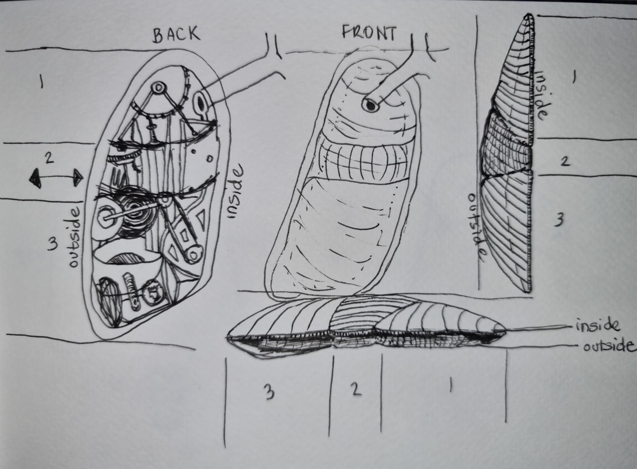 Black and white ink drawing of lungs