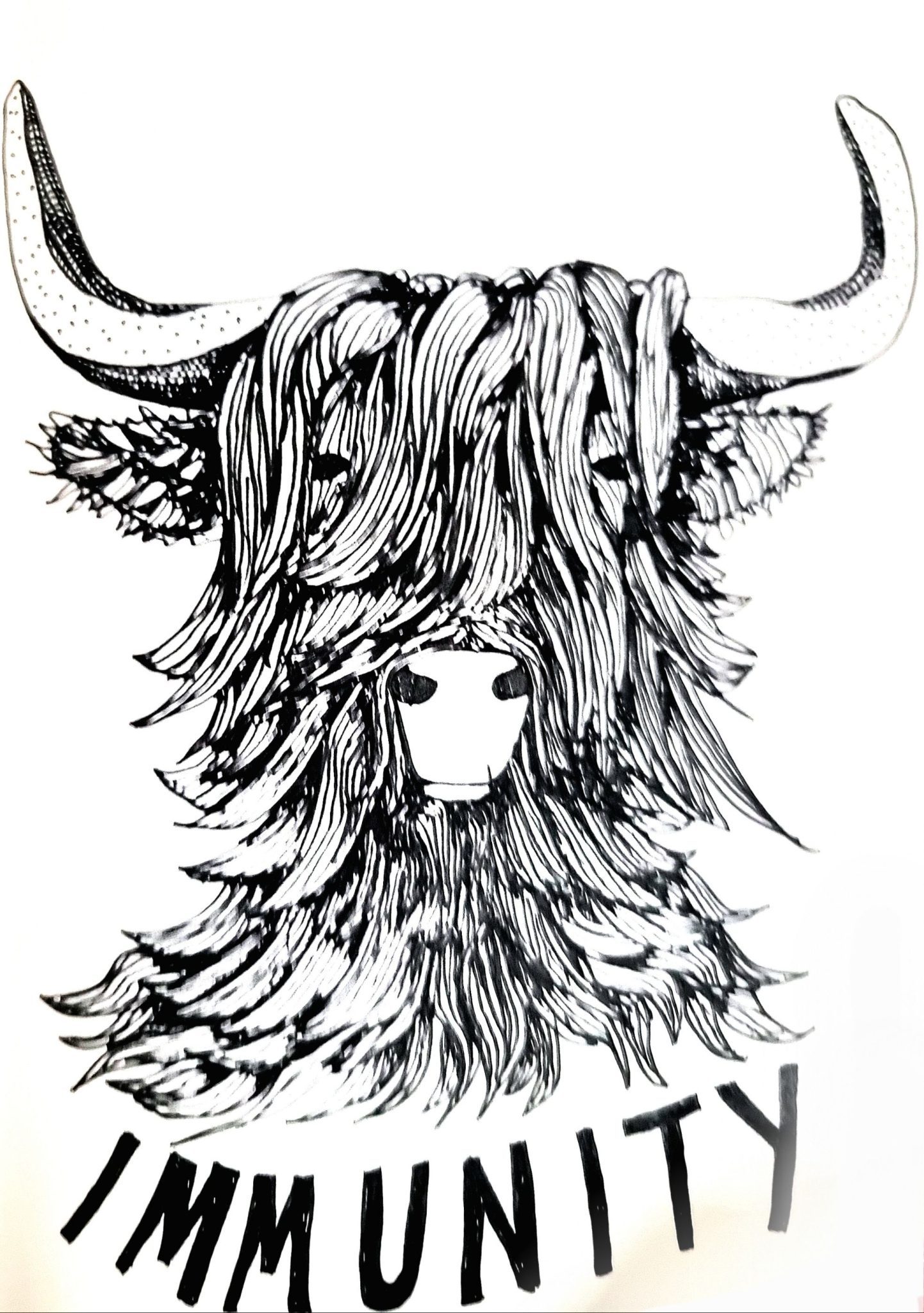 Black ink drawing of a Highland cow's head with the word IMMUNITY directly below.
