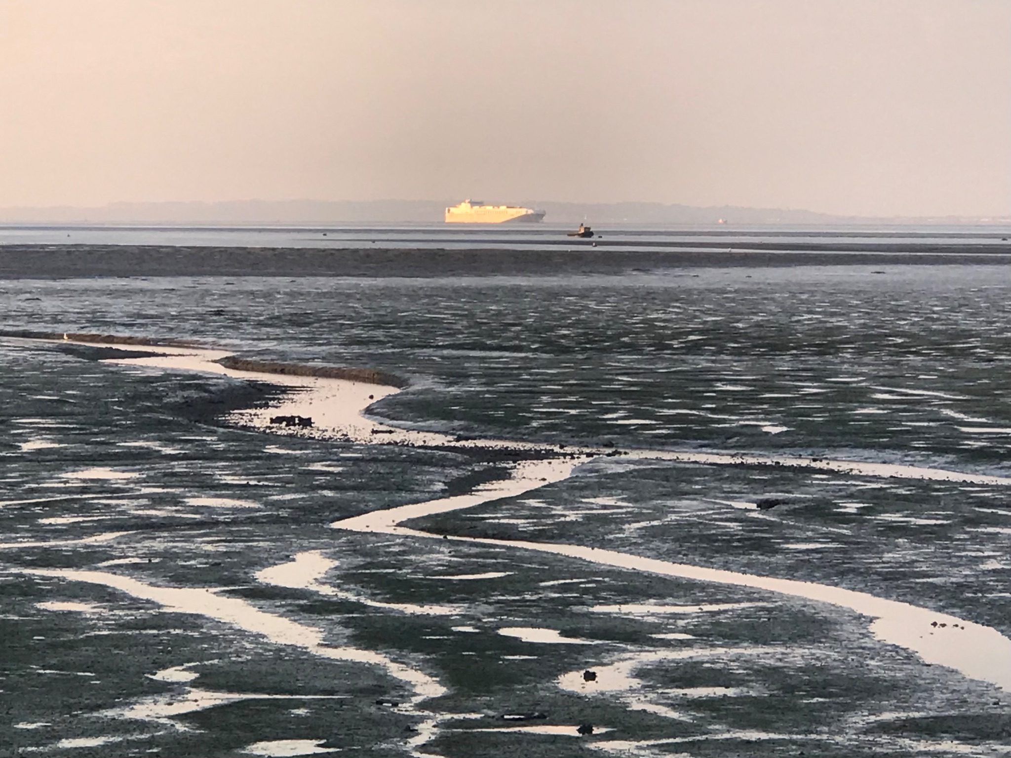 Photo of an estuary with the tide right out. The horizon is two thirds up from the bottom. The colours are very subdued, grey in the foreground where is the mud and a very pale pink for the empty sky. On the horizon is a white ship lit a brilliant silver in what appears to to be the rising sun. There are zig-zag strips of white water in the foreground getting smaller into the distance..