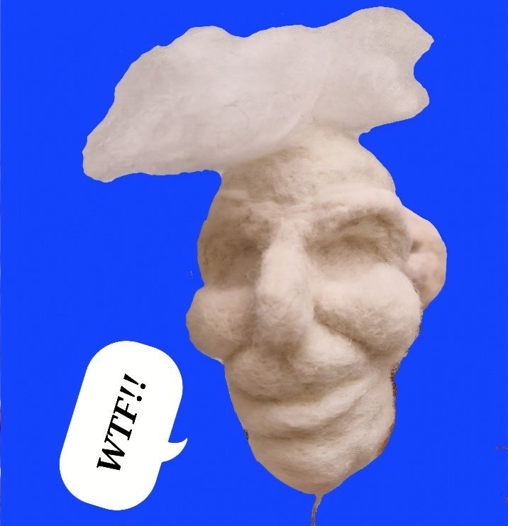Unfinished needlefelted head badly cut out against a bright blue background with a speech bubble saying WTF!!