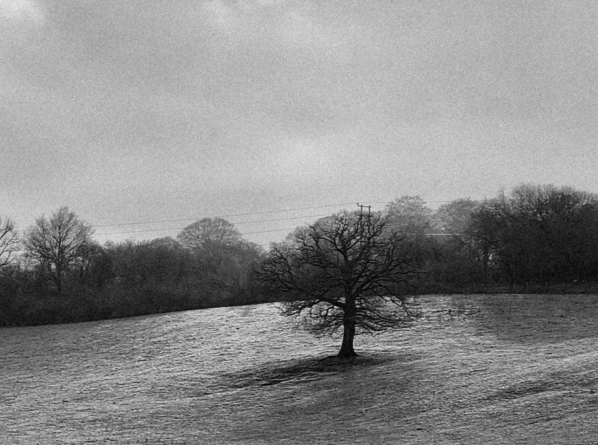 Photograph in black and white