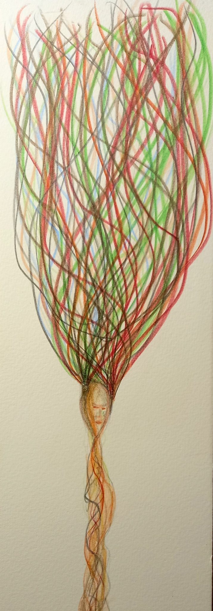 A metre long watercolour drawing a portion of which is represented here. Using watercolour pencils. Long fibrous looking lines and a small face..