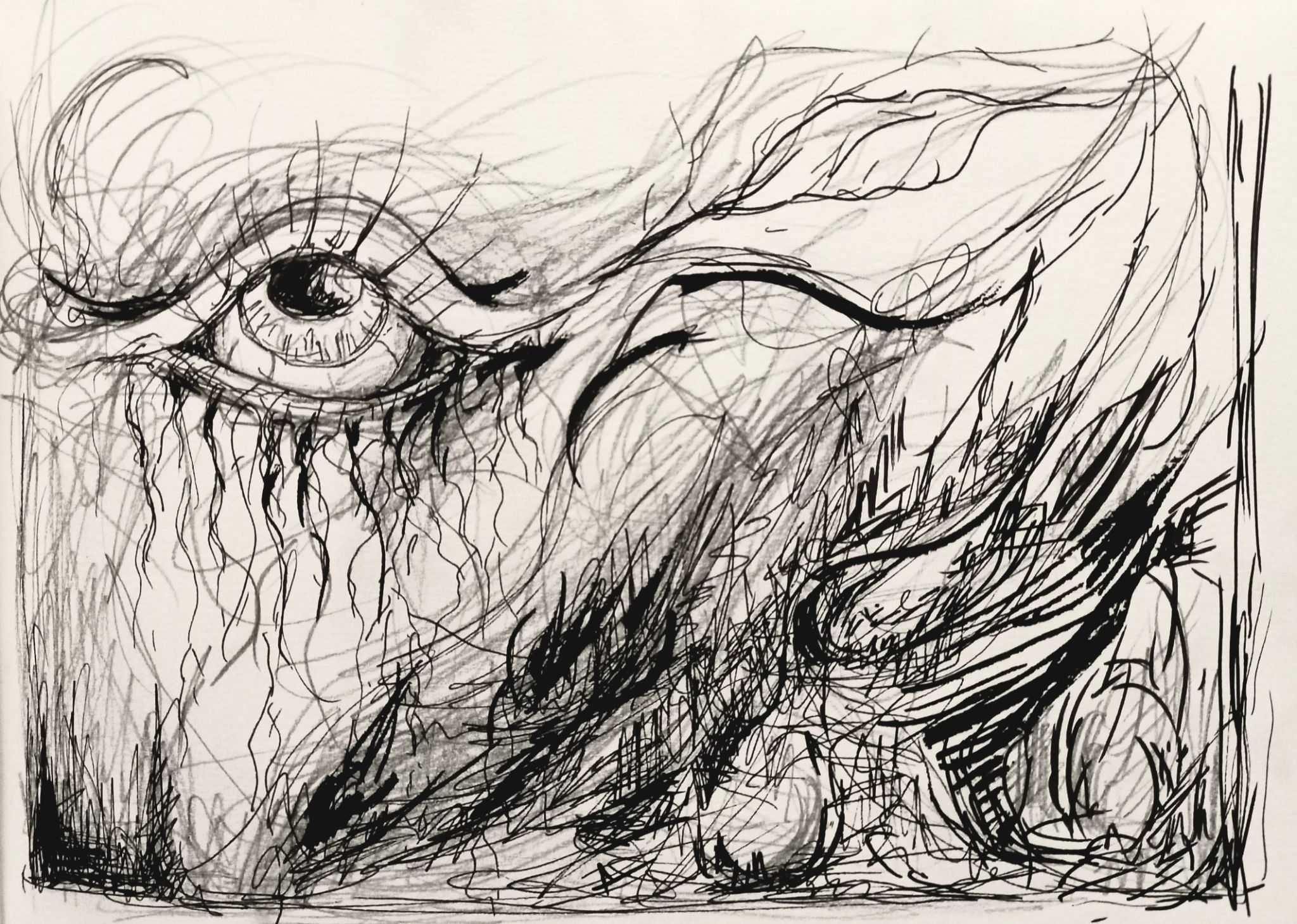 Inspiration by an etching of Asger Jorn and Odilon Redon's eye.. pencil and pen.