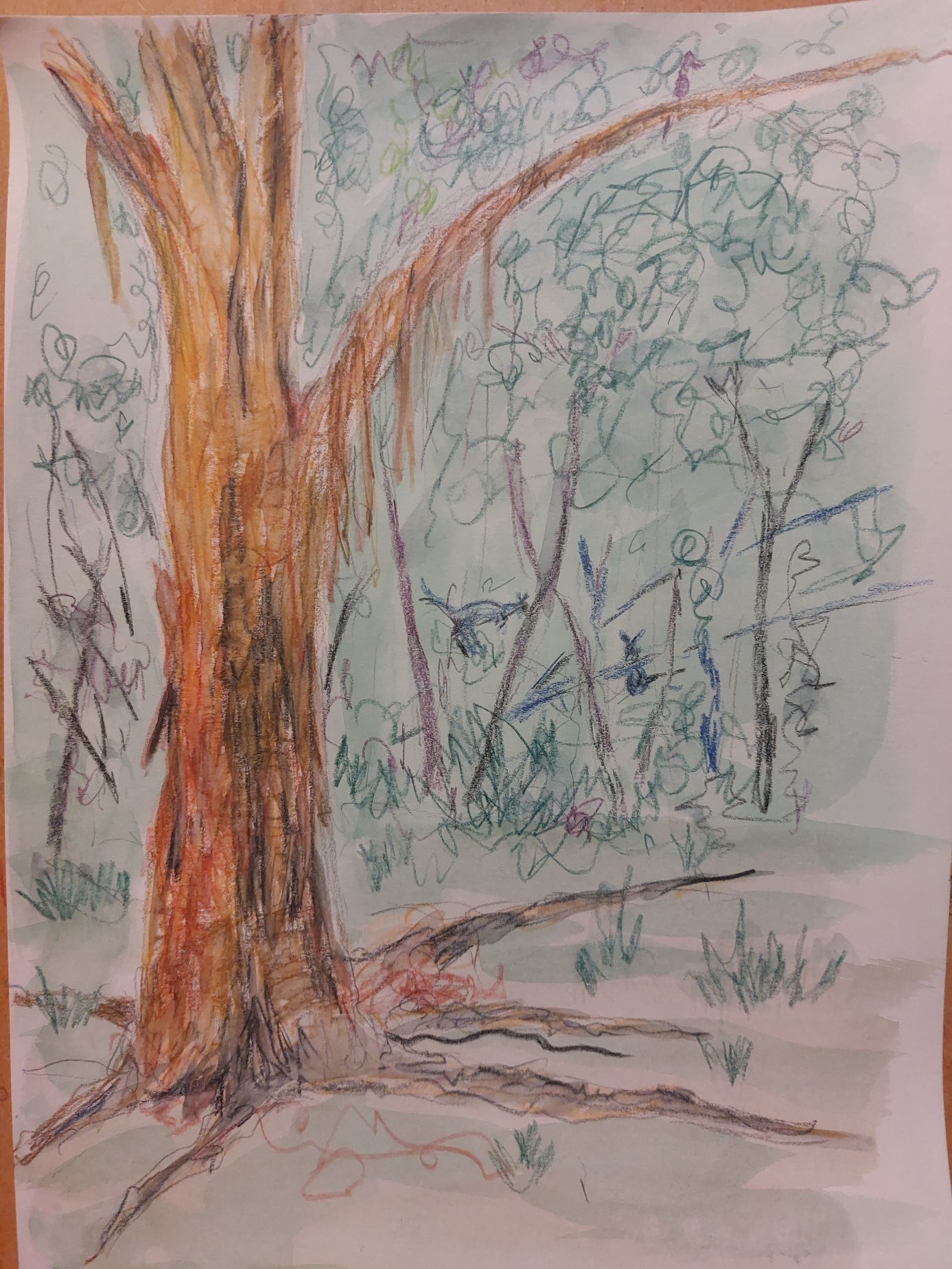 Watercolour wash and pencils. A messy tree in a messy forest